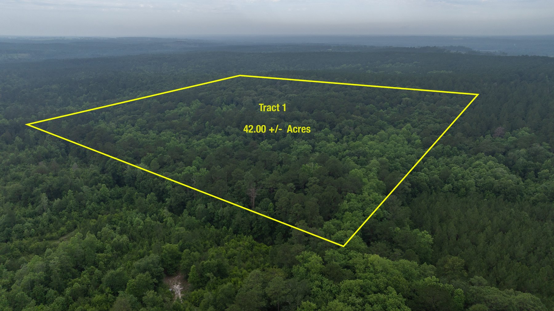 Image for Frank Bullard Trust - 60+/- Acre Recreational Timber Tract w/ Prime Hunting Opportunity