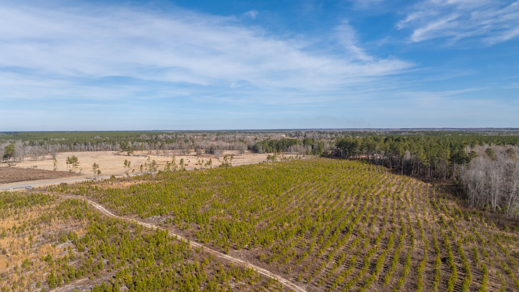 Image for Little Ohoopee Recreational Acreage