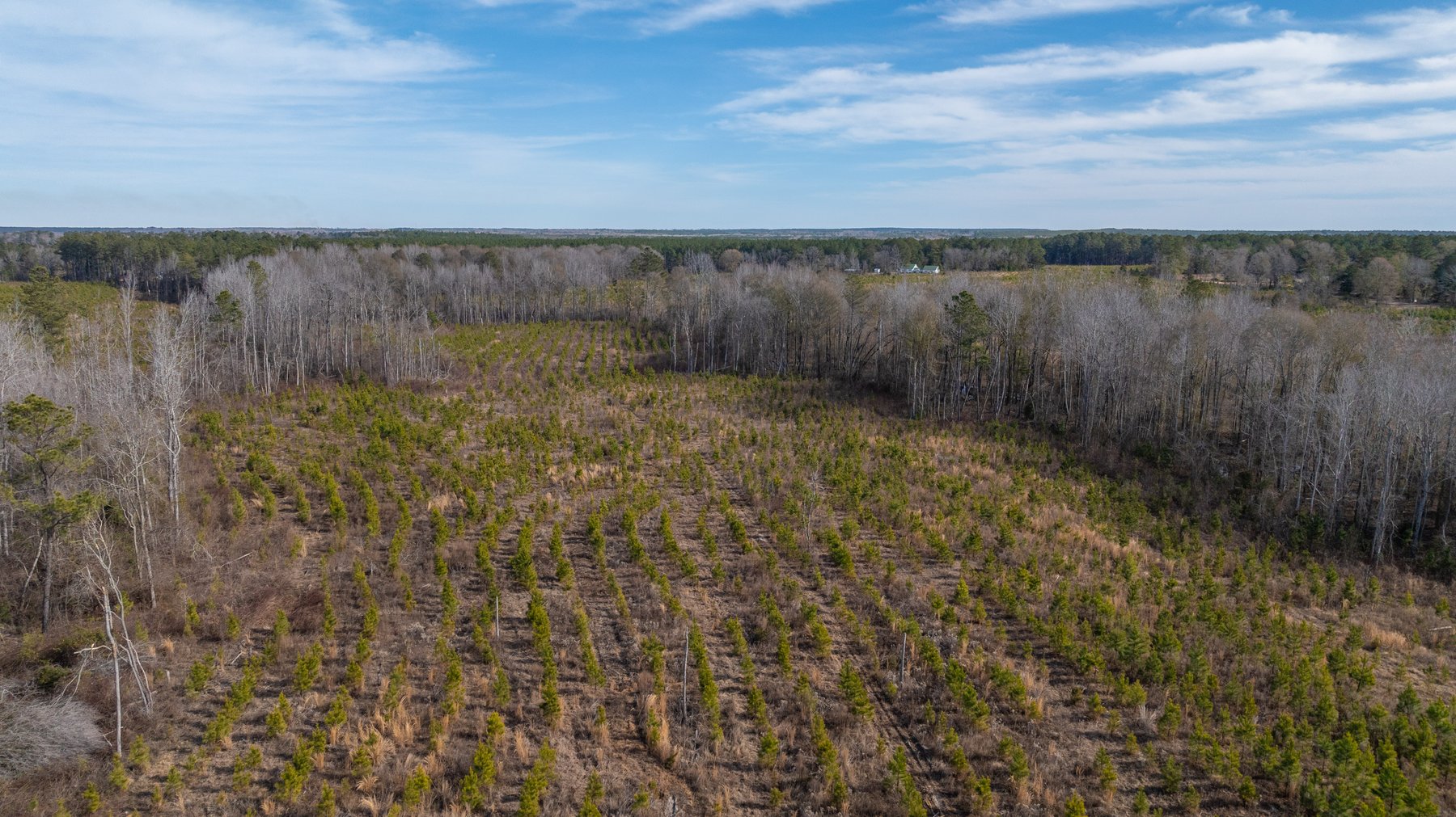 Image for Little Ohoopee Recreational Acreage