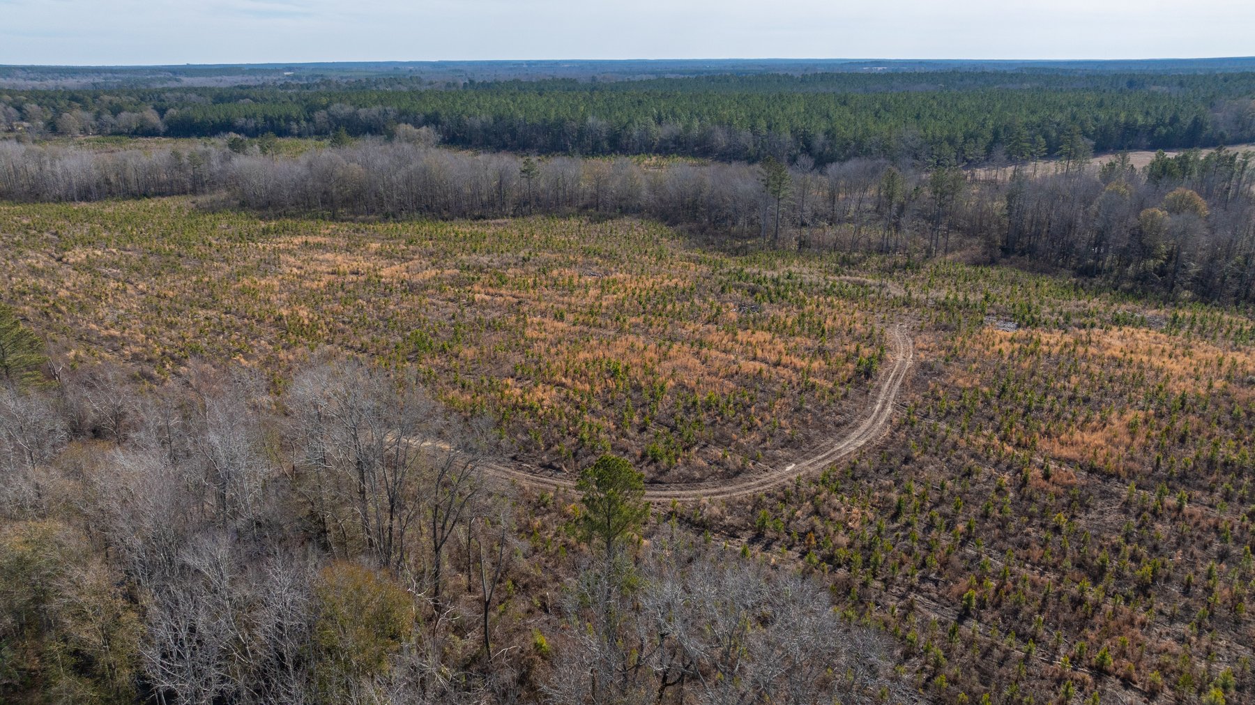 Image for Little Ohoopee Recreational Acreage