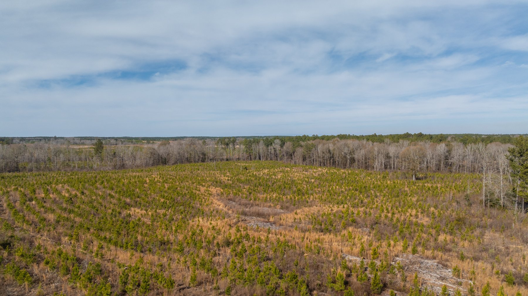 Image for Little Ohoopee Recreational Acreage