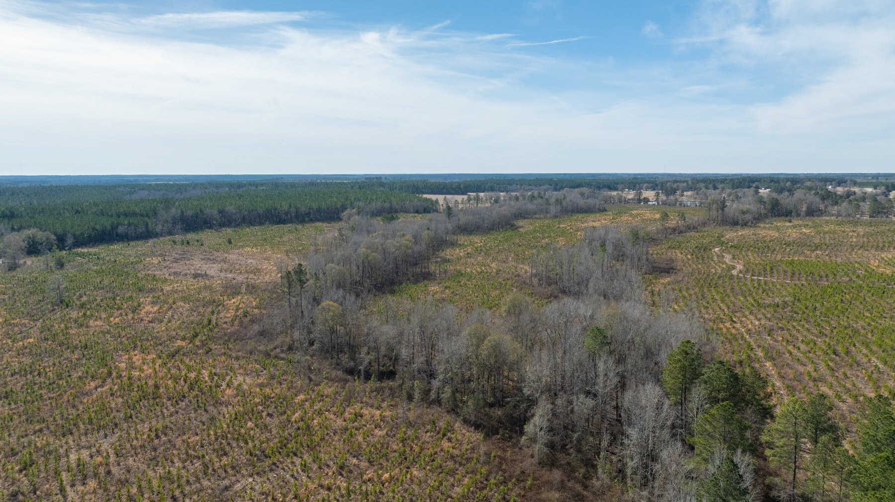 Image for Little Ohoopee Recreational Acreage