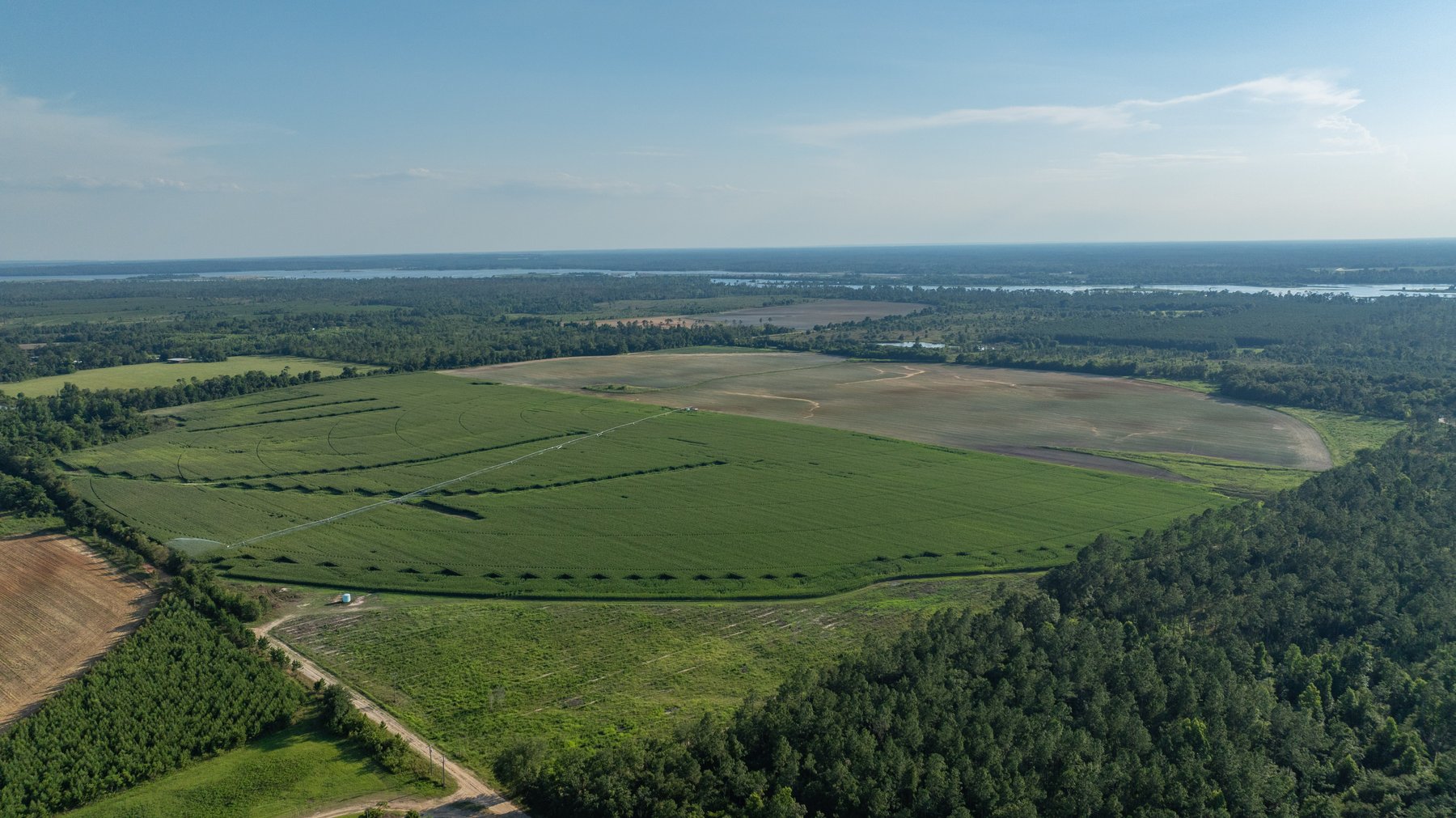 Image for 481+/- Acres - The John B. Wight Trust - Irrigated Row Crop Farm
