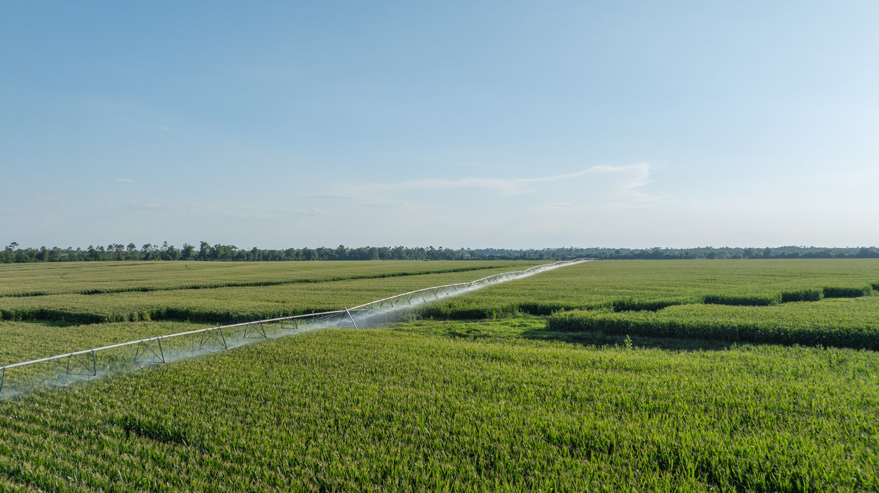 Image for 481+/- Acres - The John B. Wight Trust - Irrigated Row Crop Farm