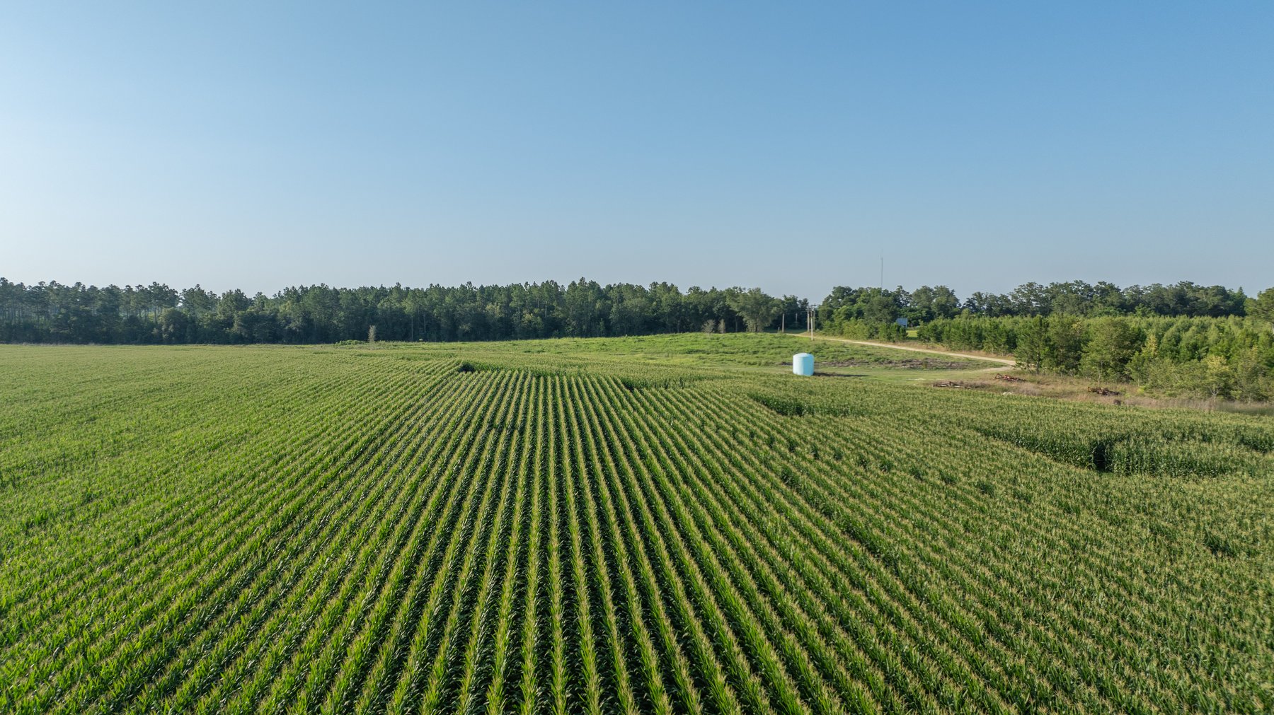 Image for 481+/- Acres - The John B. Wight Trust - Irrigated Row Crop Farm