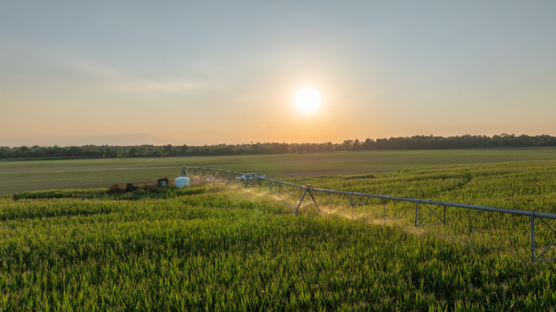 Image for 481+/- Acres - The John B. Wight Trust - Irrigated Row Crop Farm