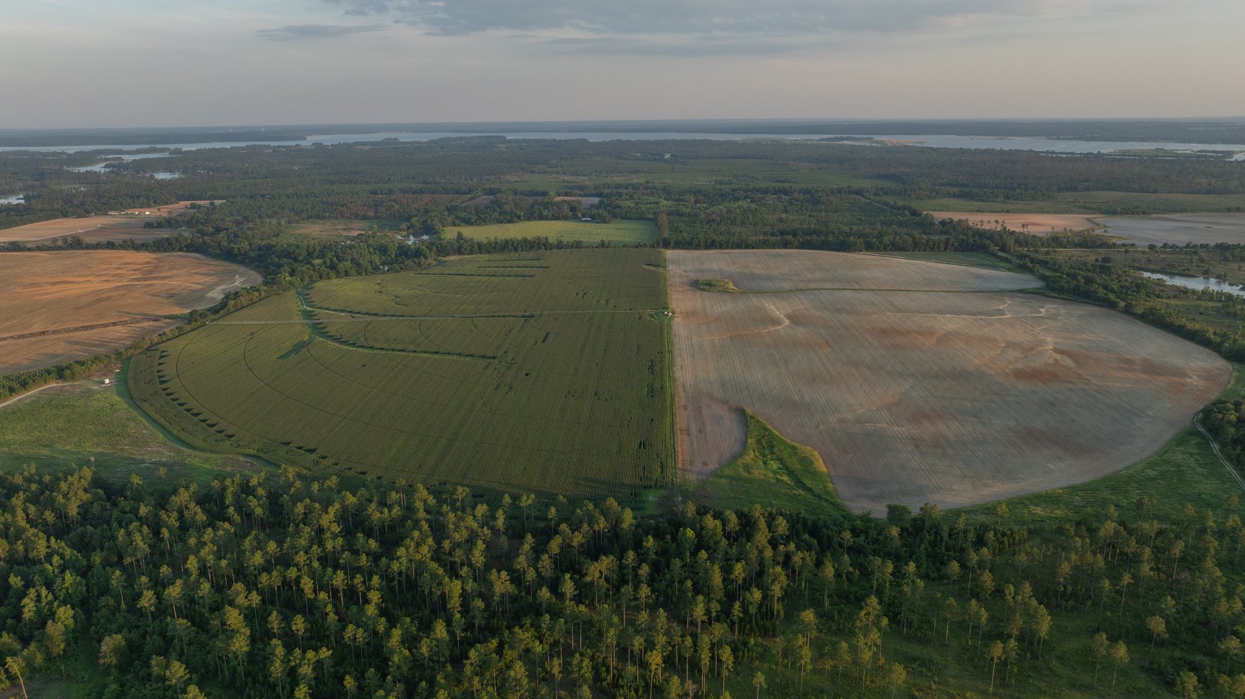 Image for 481+/- Acres - The John B. Wight Trust - Irrigated Row Crop Farm