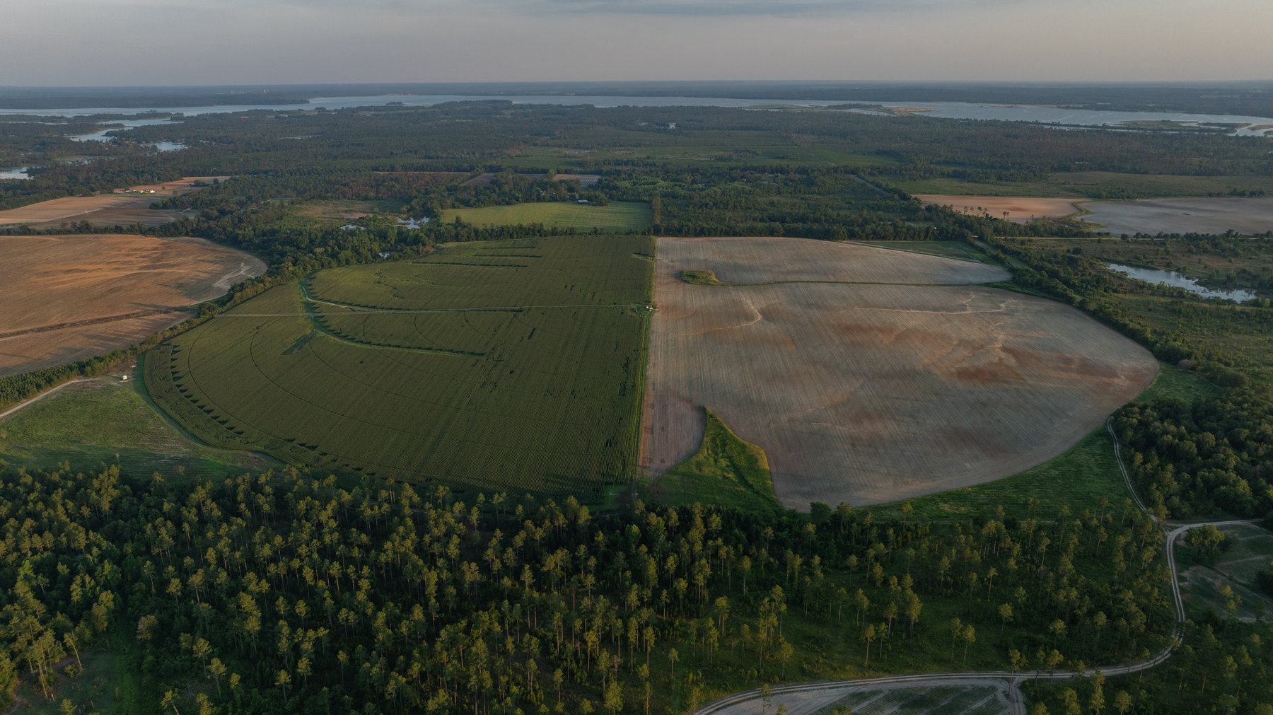 Image for 481+/- Acres - The John B. Wight Trust - Irrigated Row Crop Farm
