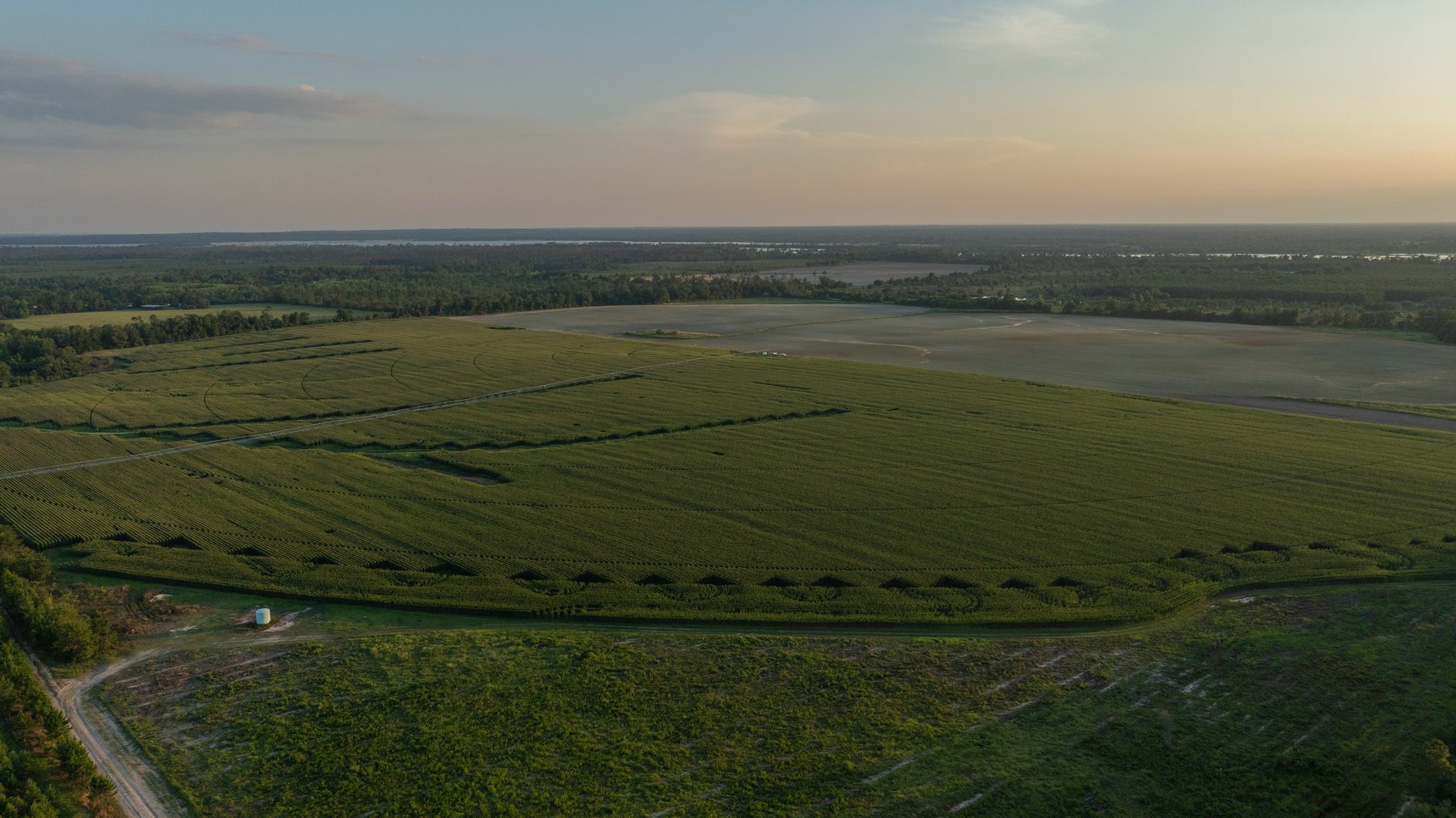 Image for 481+/- Acres - The John B. Wight Trust - Irrigated Row Crop Farm