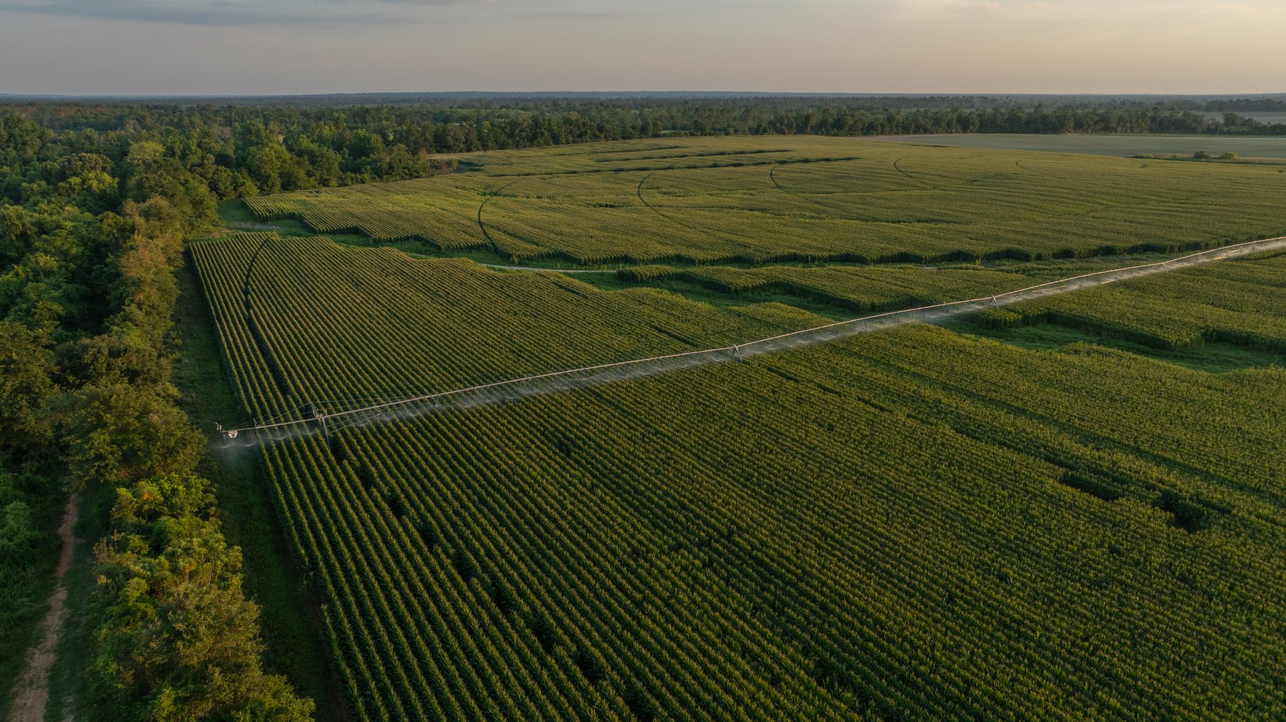 Image for 481+/- Acres - The John B. Wight Trust - Irrigated Row Crop Farm