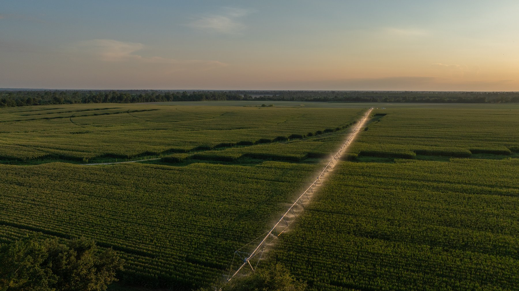 Image for 481+/- Acres - The John B. Wight Trust - Irrigated Row Crop Farm
