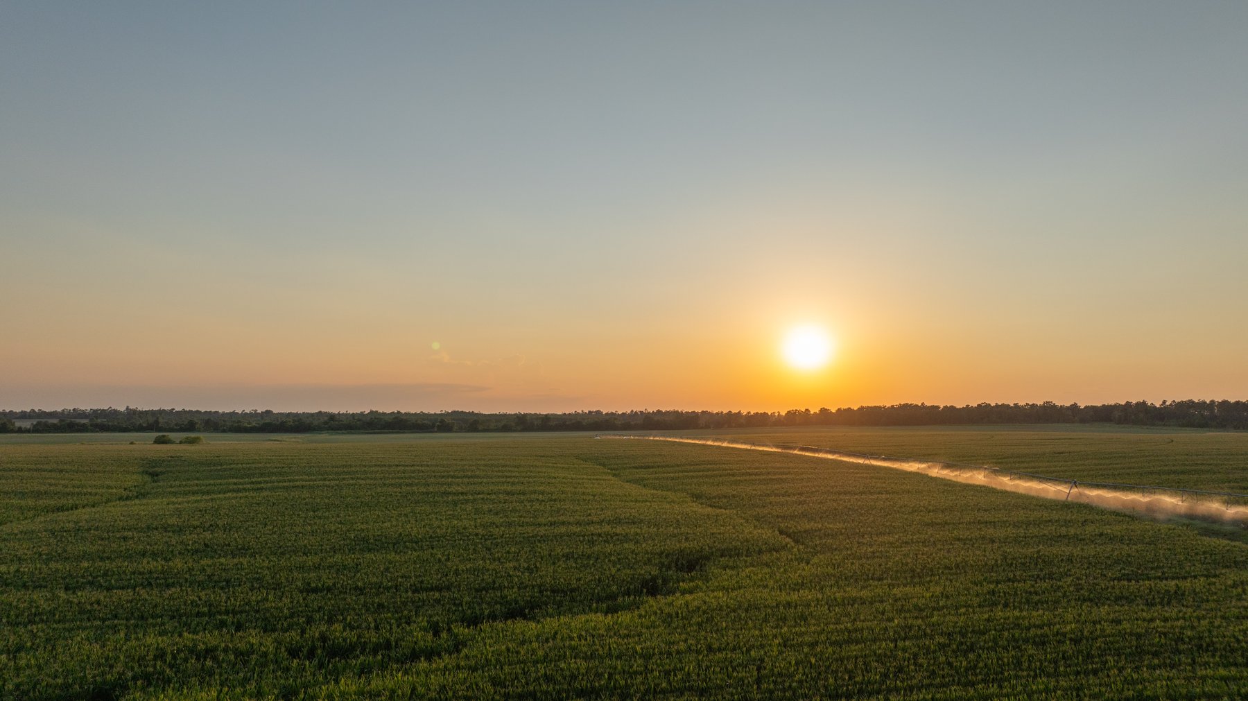 Image for 481+/- Acres - The John B. Wight Trust - Irrigated Row Crop Farm