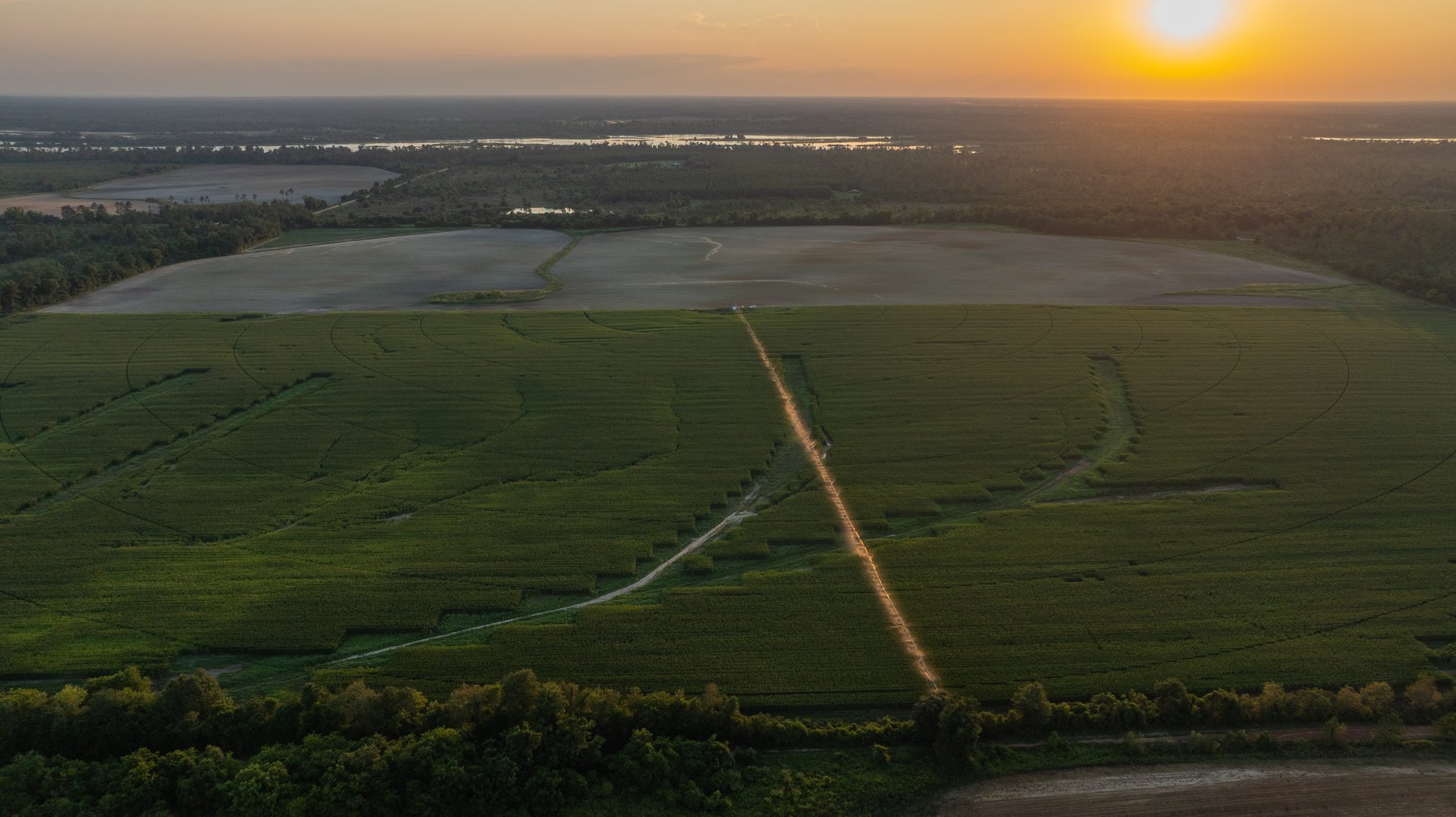 Image for 481+/- Acres - The John B. Wight Trust - Irrigated Row Crop Farm