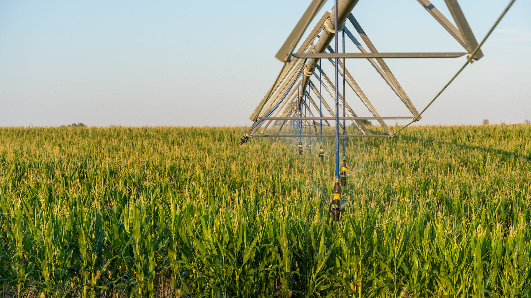 Image for 481+/- Acres - The John B. Wight Trust - Irrigated Row Crop Farm