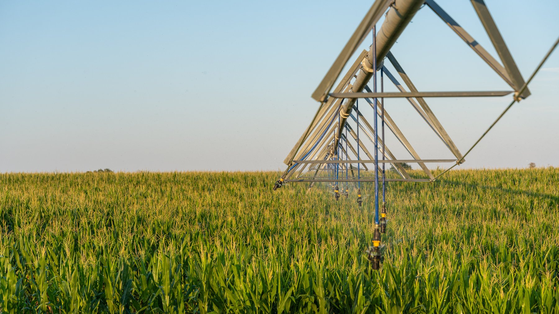 Image for 481+/- Acres - The John B. Wight Trust - Irrigated Row Crop Farm