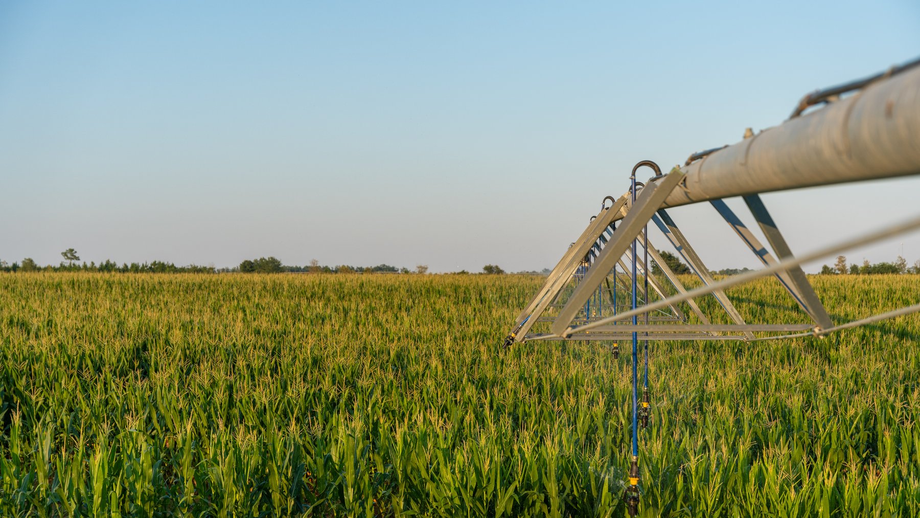 Image for 481+/- Acres - The John B. Wight Trust - Irrigated Row Crop Farm