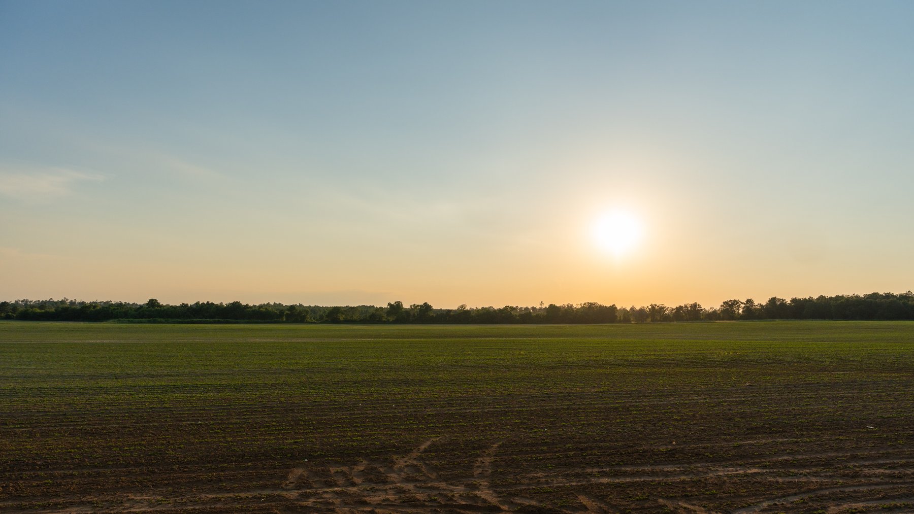 Image for 481+/- Acres - The John B. Wight Trust - Irrigated Row Crop Farm