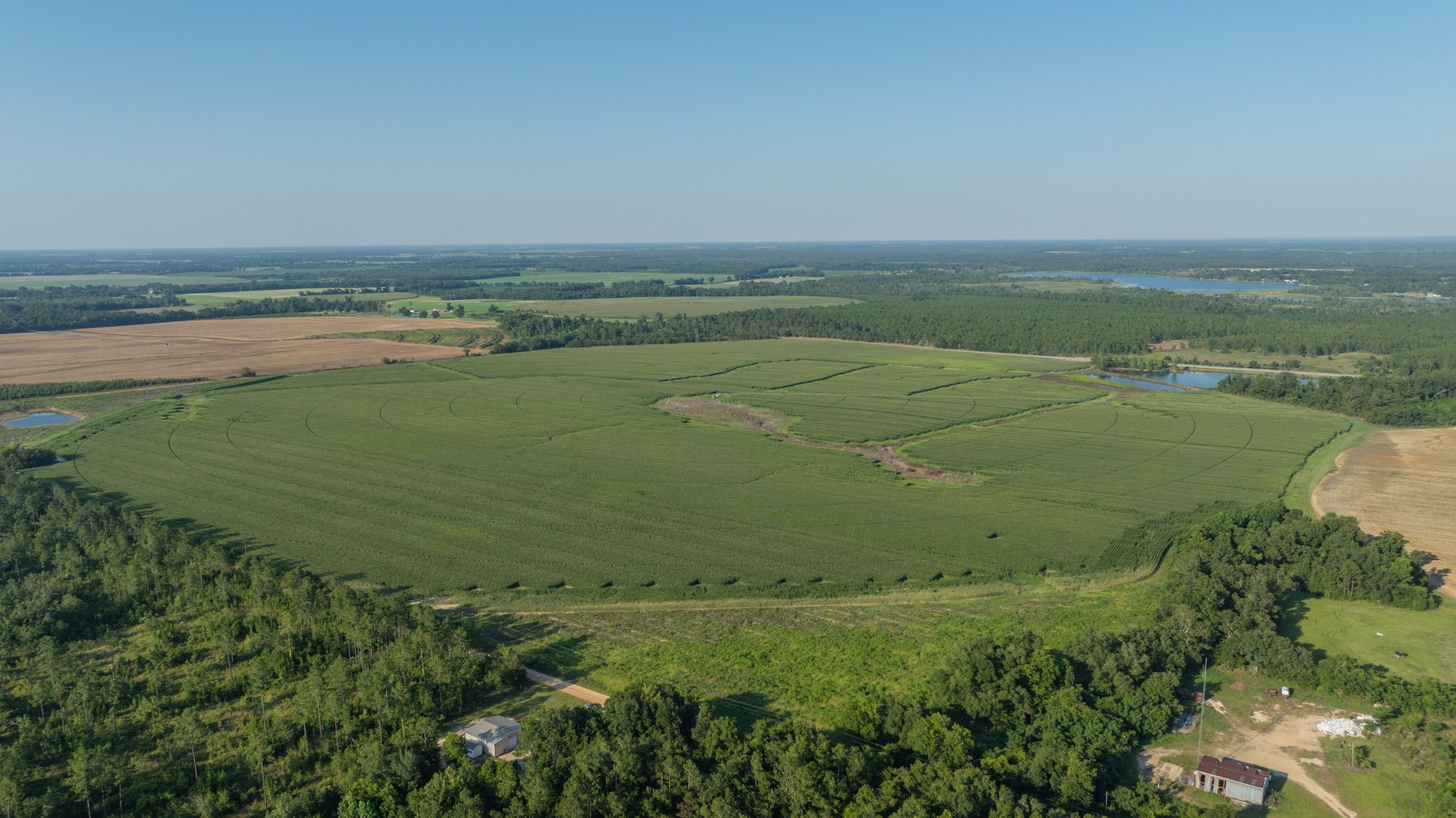 Image for 481+/- Acres - The John B. Wight Trust - Irrigated Row Crop Farm