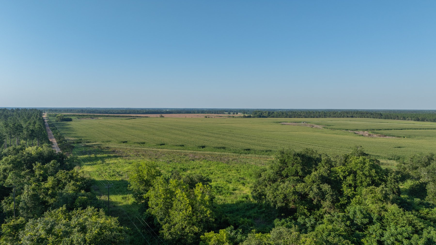 Image for 481+/- Acres - The John B. Wight Trust - Irrigated Row Crop Farm