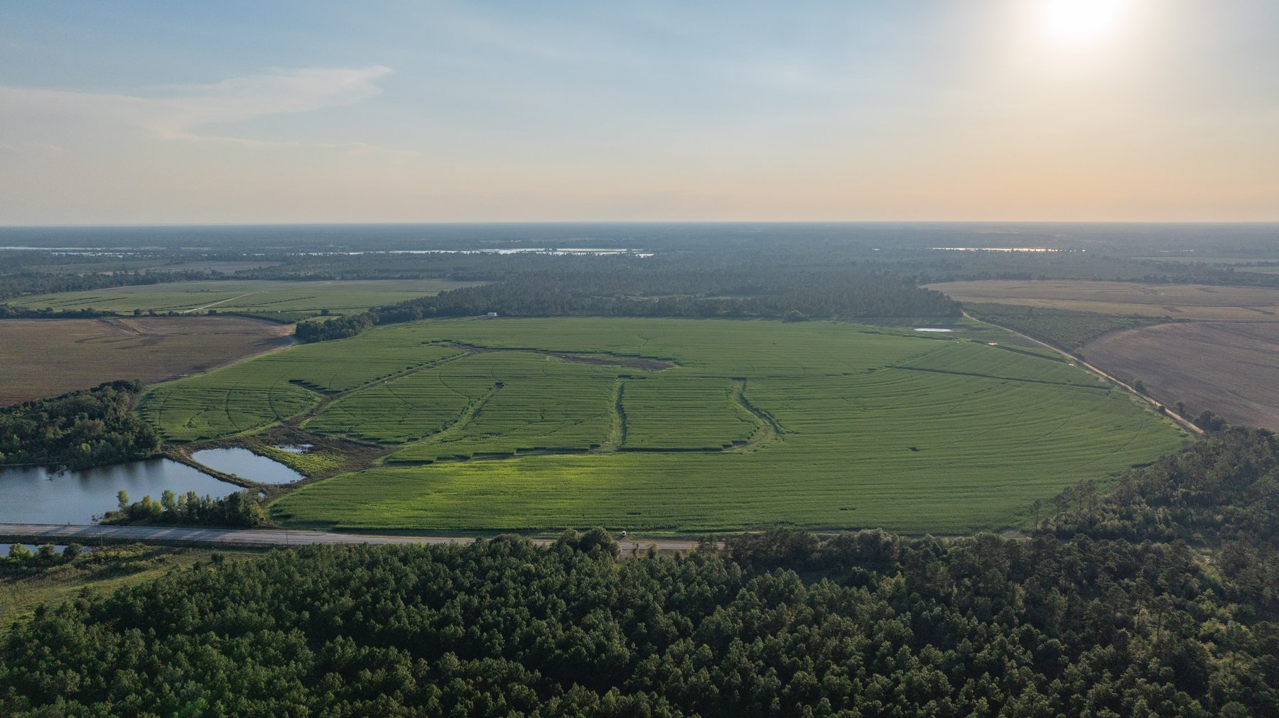 Image for 481+/- Acres - The John B. Wight Trust - Irrigated Row Crop Farm