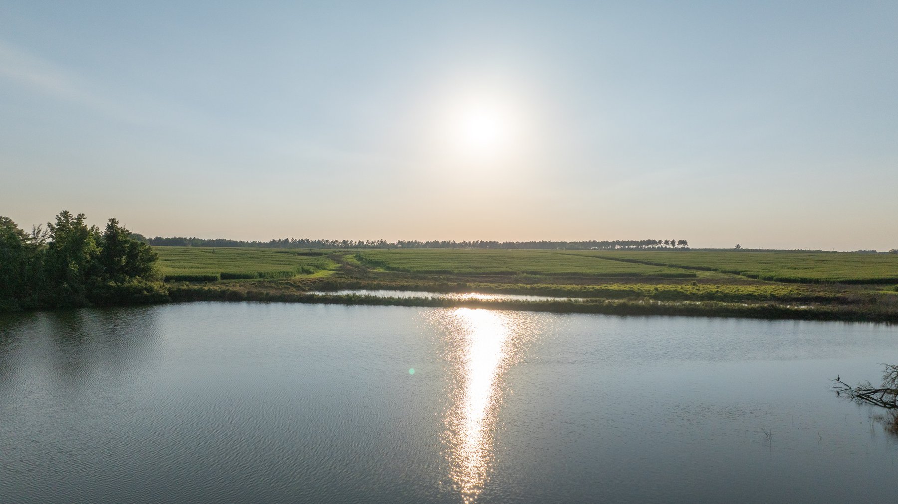 Image for 481+/- Acres - The John B. Wight Trust - Irrigated Row Crop Farm