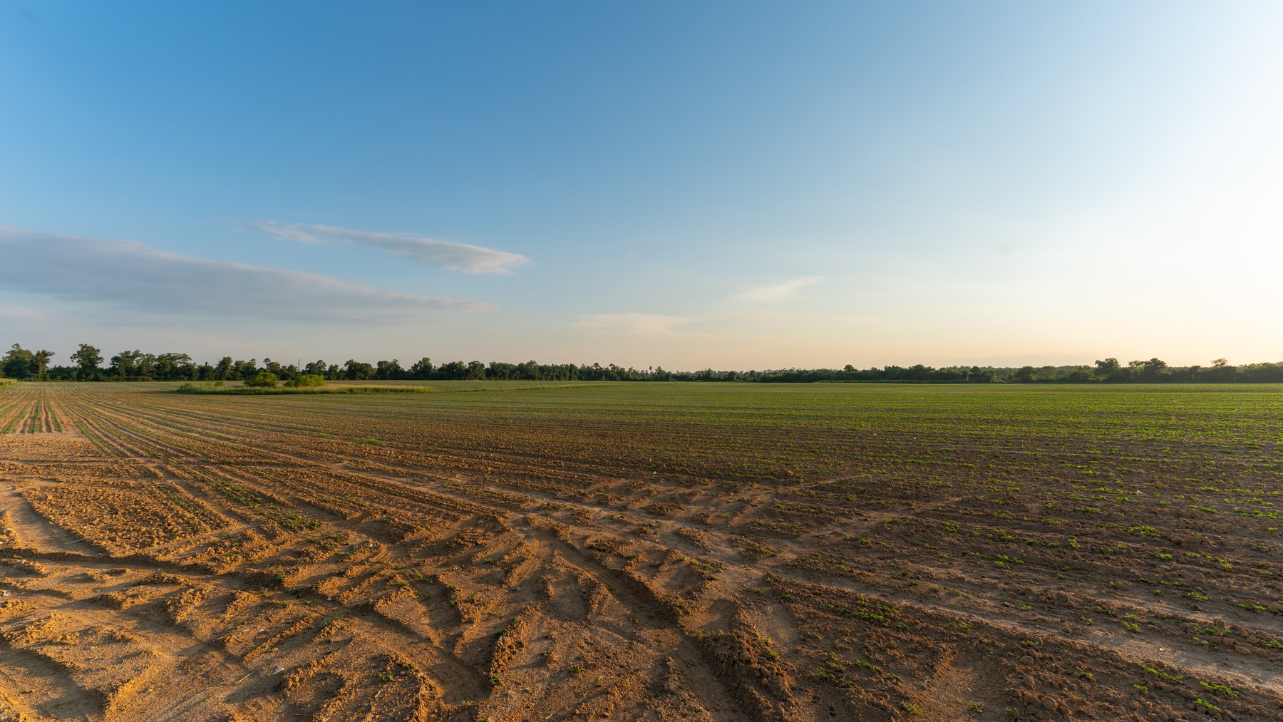 Image for 481+/- Acres - The John B. Wight Trust - Irrigated Row Crop Farm