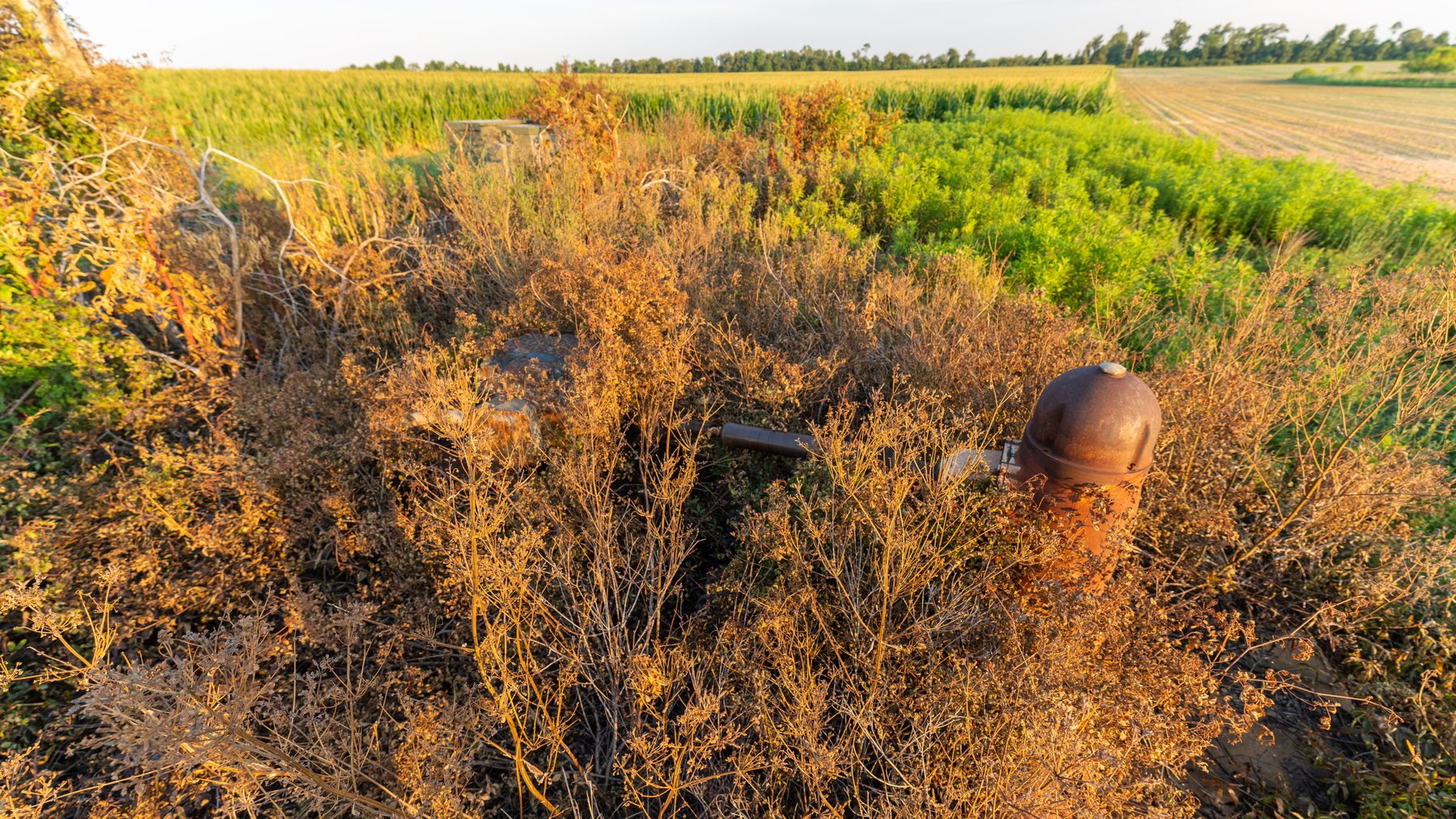 Image for 481+/- Acres - The John B. Wight Trust - Irrigated Row Crop Farm