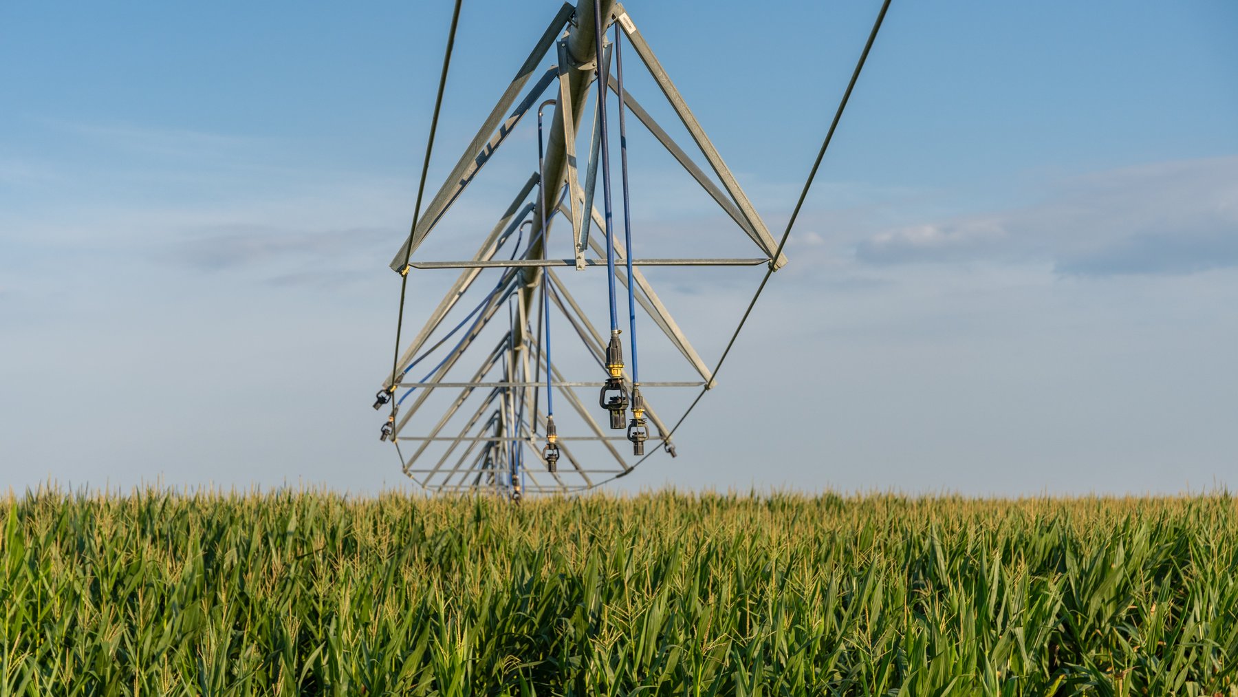 Image for 481+/- Acres - The John B. Wight Trust - Irrigated Row Crop Farm