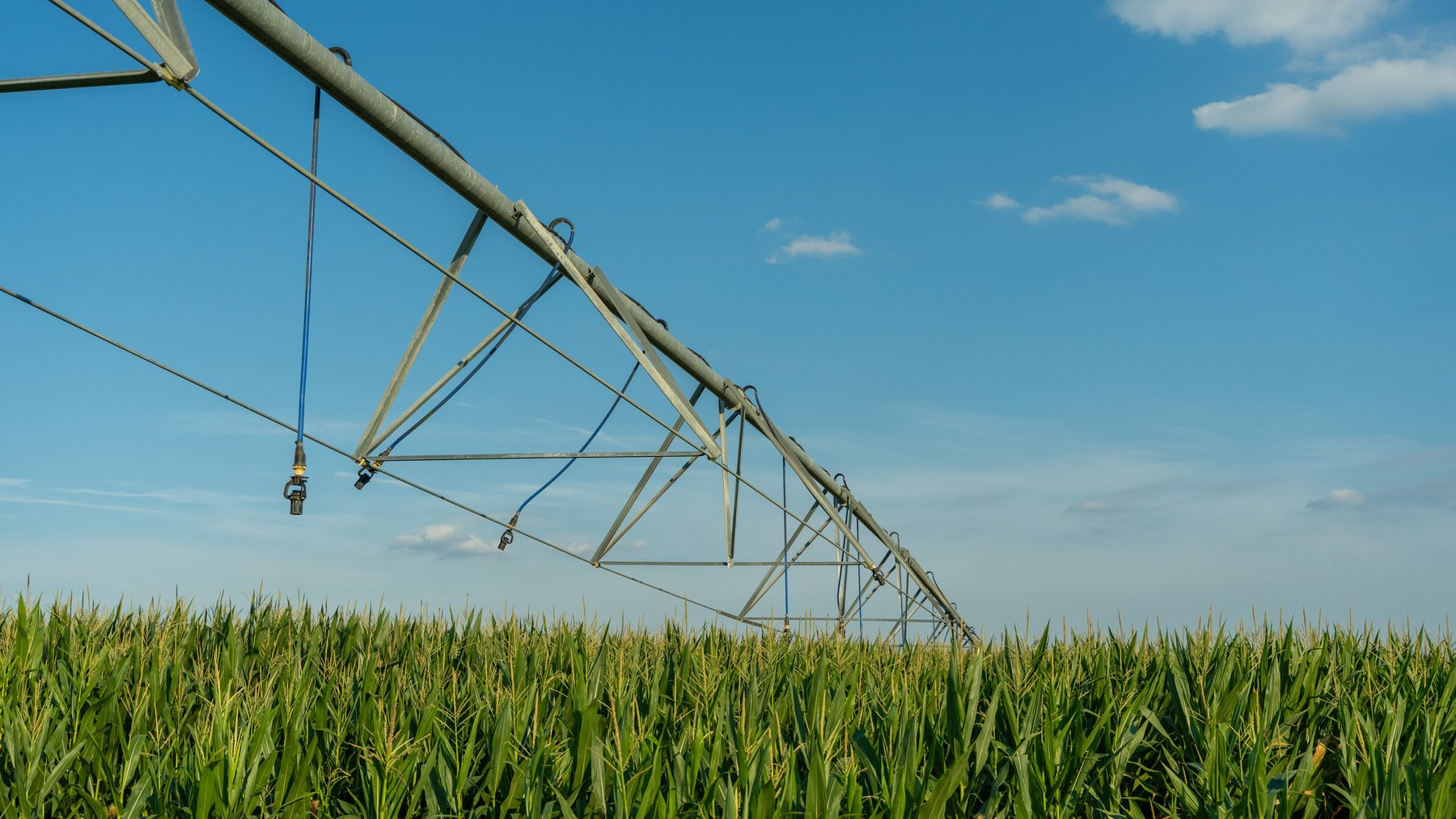 Image for 481+/- Acres - The John B. Wight Trust - Irrigated Row Crop Farm