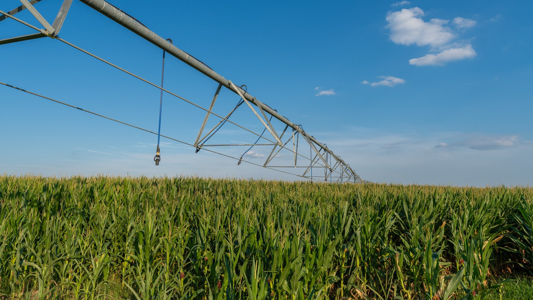 Image for 481+/- Acres - The John B. Wight Trust - Irrigated Row Crop Farm