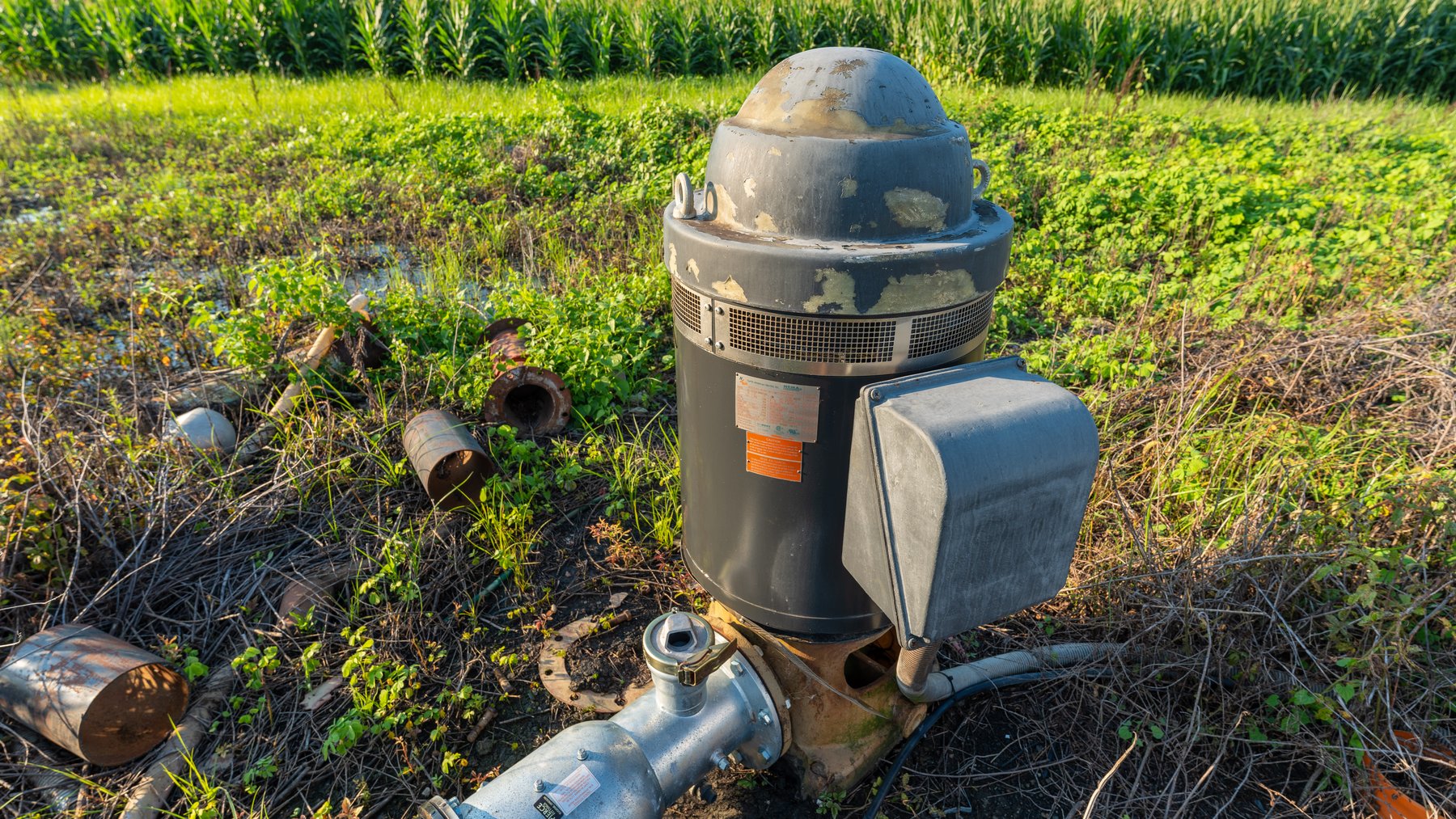 Image for 481+/- Acres - The John B. Wight Trust - Irrigated Row Crop Farm