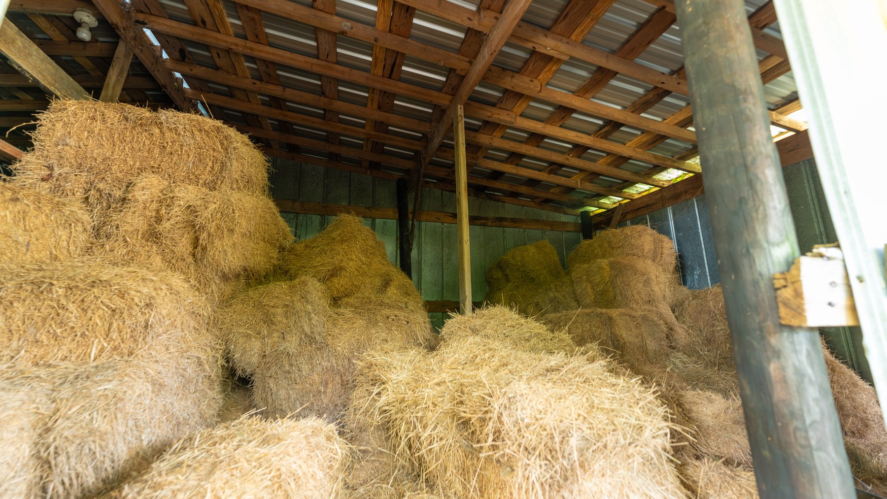 Image for Secluded 5+/- Acre Hobby Farm in Lee County