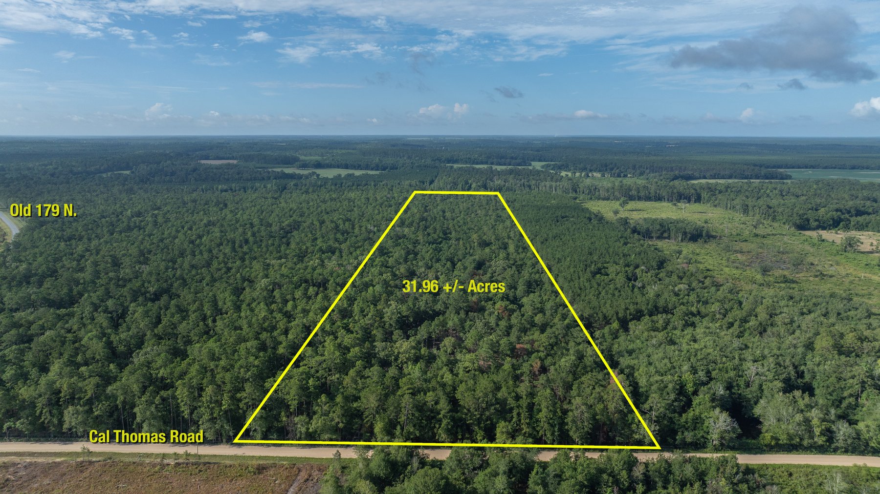 Image for The Grady Pines Tract - 32 +/- Total Acres - Prime Recreational Acreage with Homesite Potential