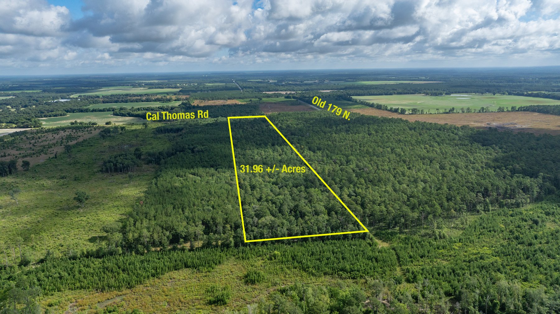 Image for The Grady Pines Tract - 32 +/- Total Acres - Prime Recreational Acreage with Homesite Potential