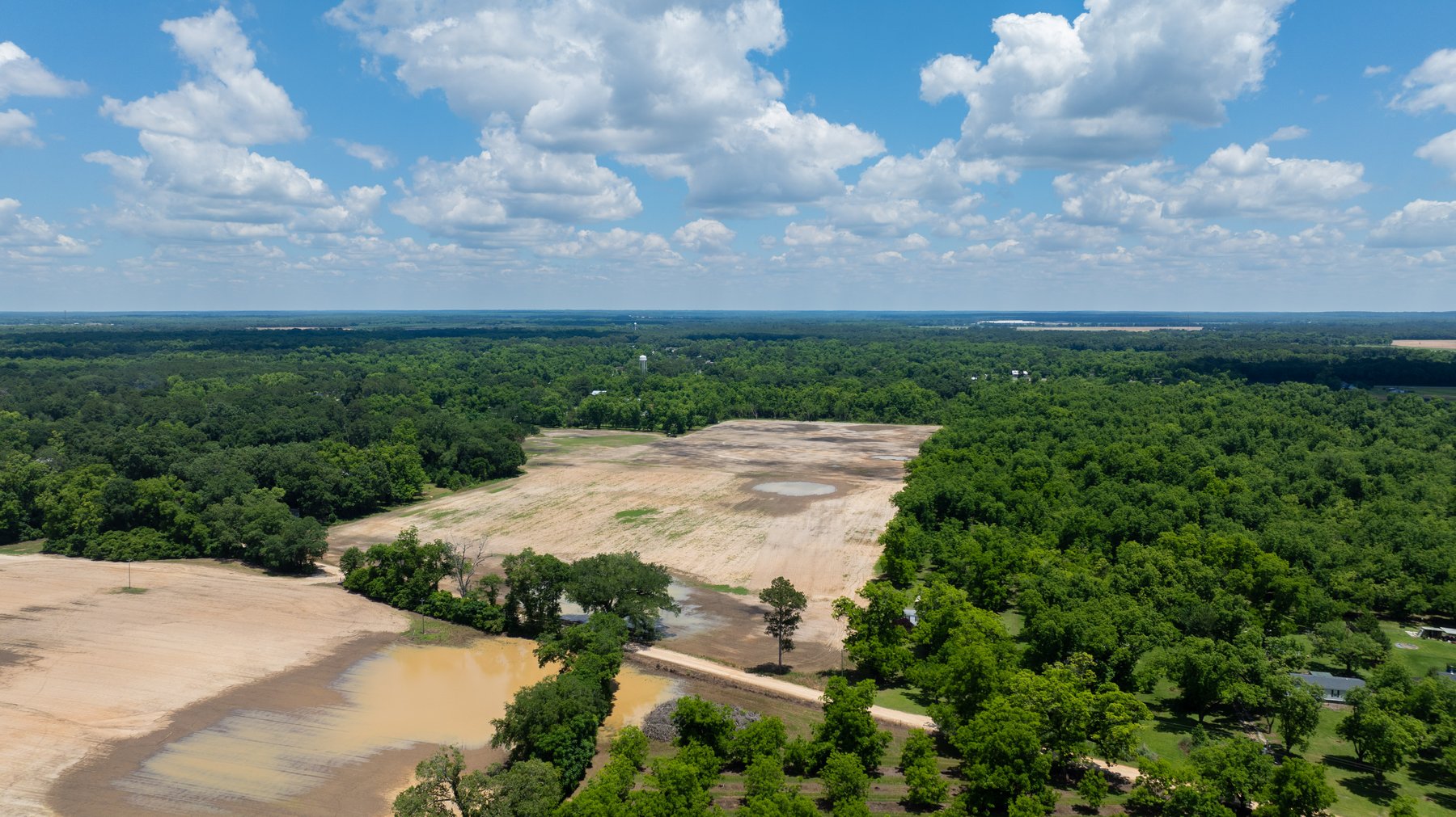 Image for 80.78+/- Acres - Turn-Key Pecan Operation w/ Row Crop Farmland