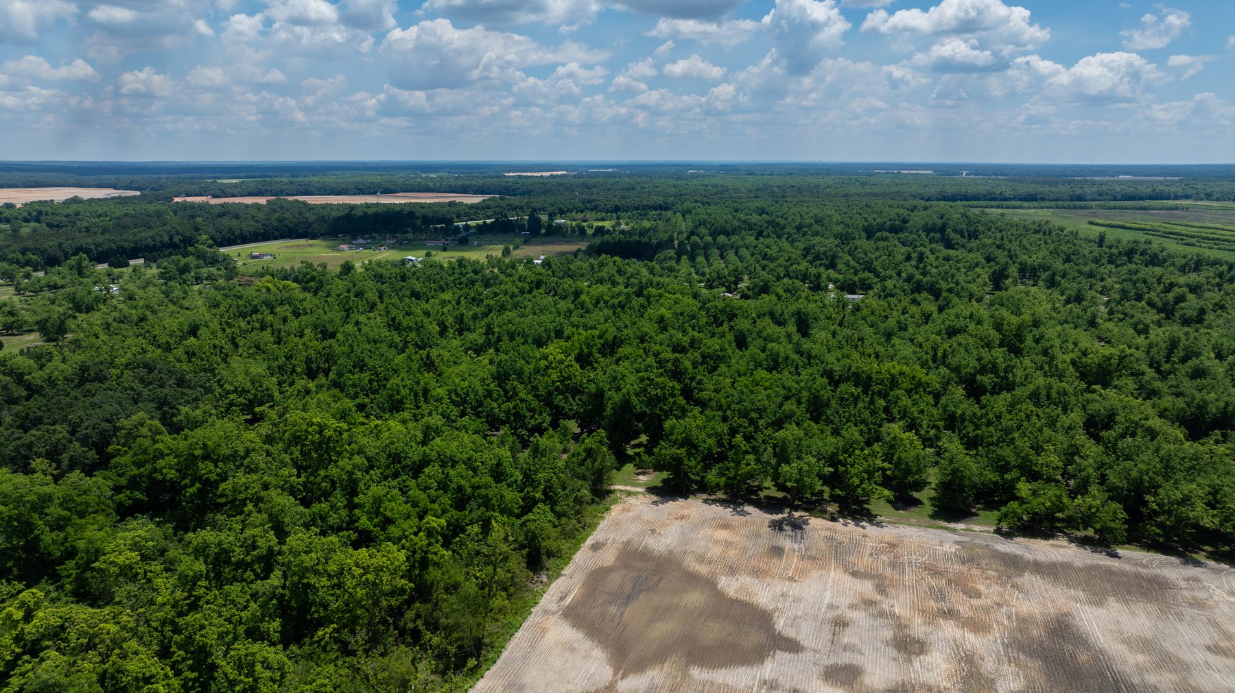 Image for 80.78+/- Acres - Turn-Key Pecan Operation w/ Row Crop Farmland