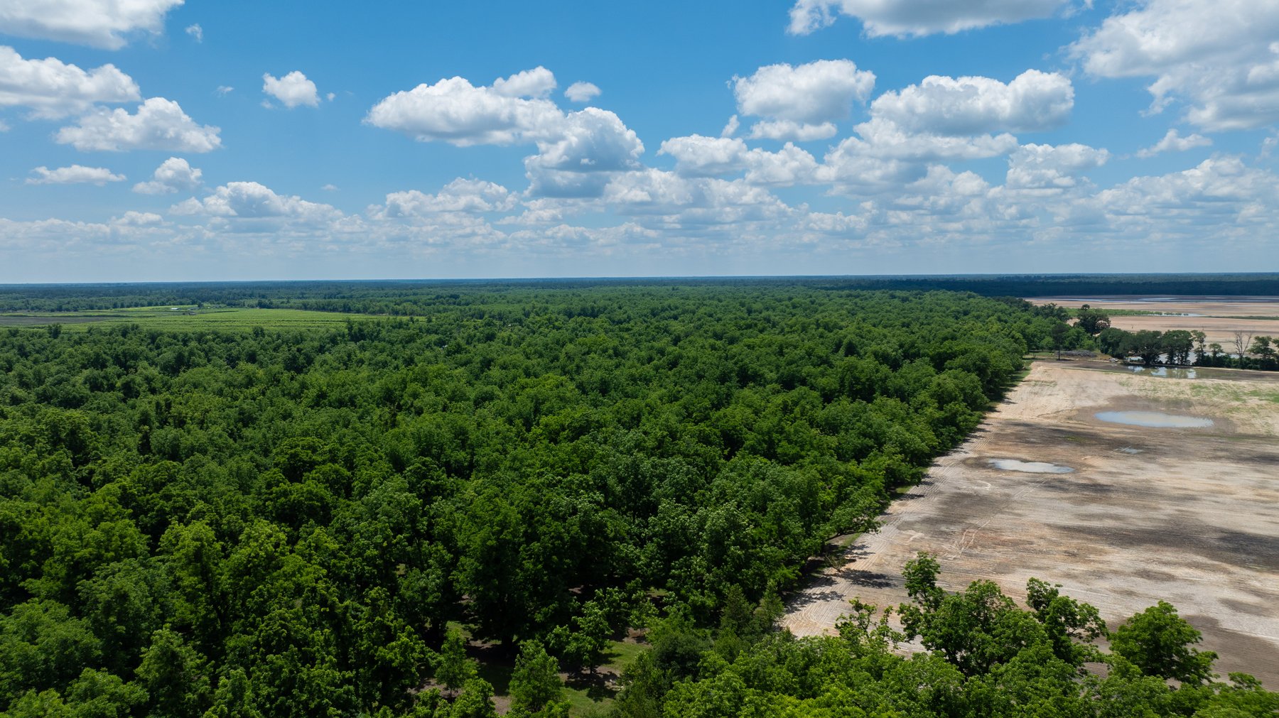 Image for 80.78+/- Acres - Turn-Key Pecan Operation w/ Row Crop Farmland