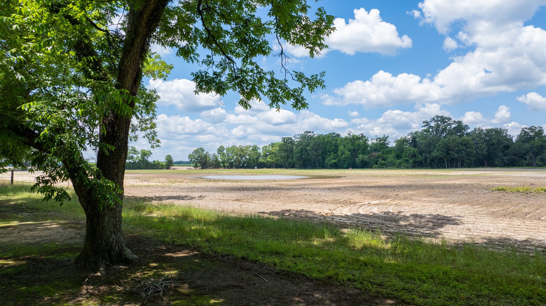 Image for 80.78+/- Acres - Turn-Key Pecan Operation w/ Row Crop Farmland