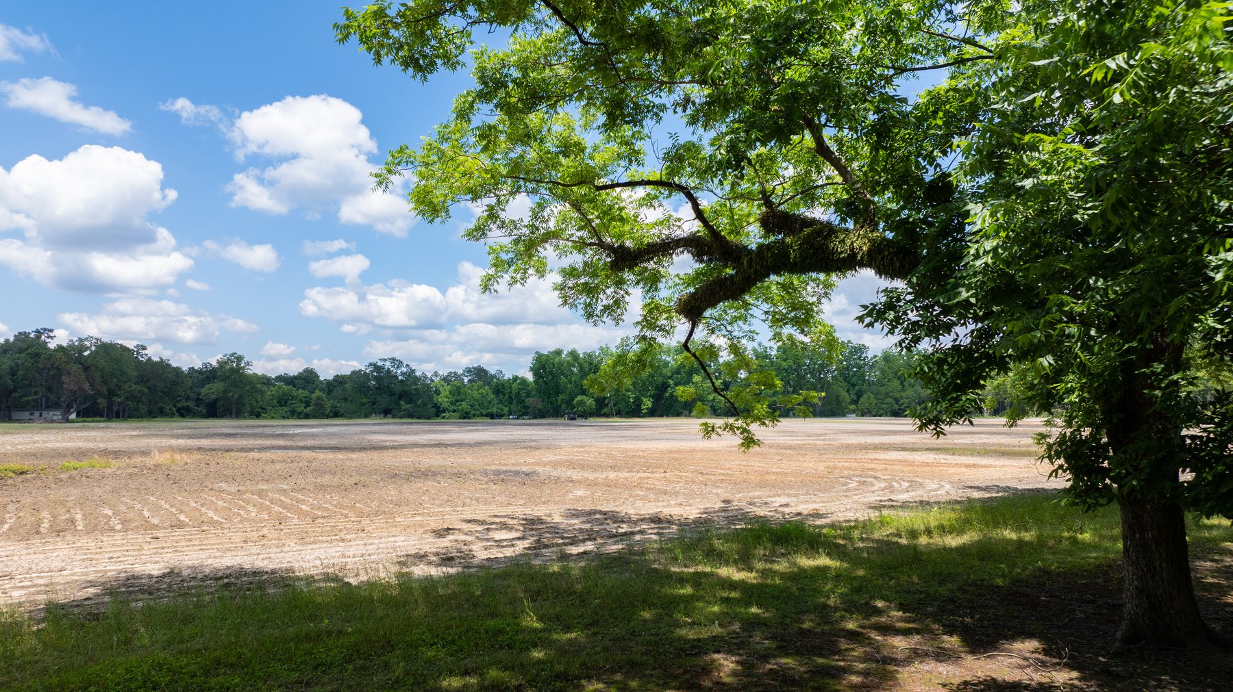 Image for 80.78+/- Acres - Turn-Key Pecan Operation w/ Row Crop Farmland