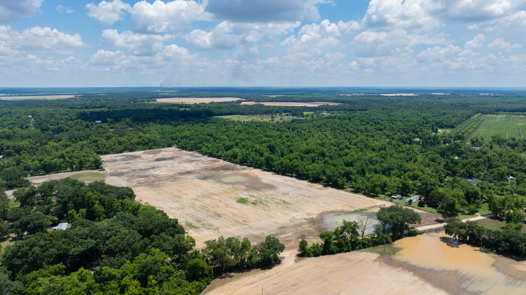 Image for 80.78+/- Acres - Turn-Key Pecan Operation w/ Row Crop Farmland
