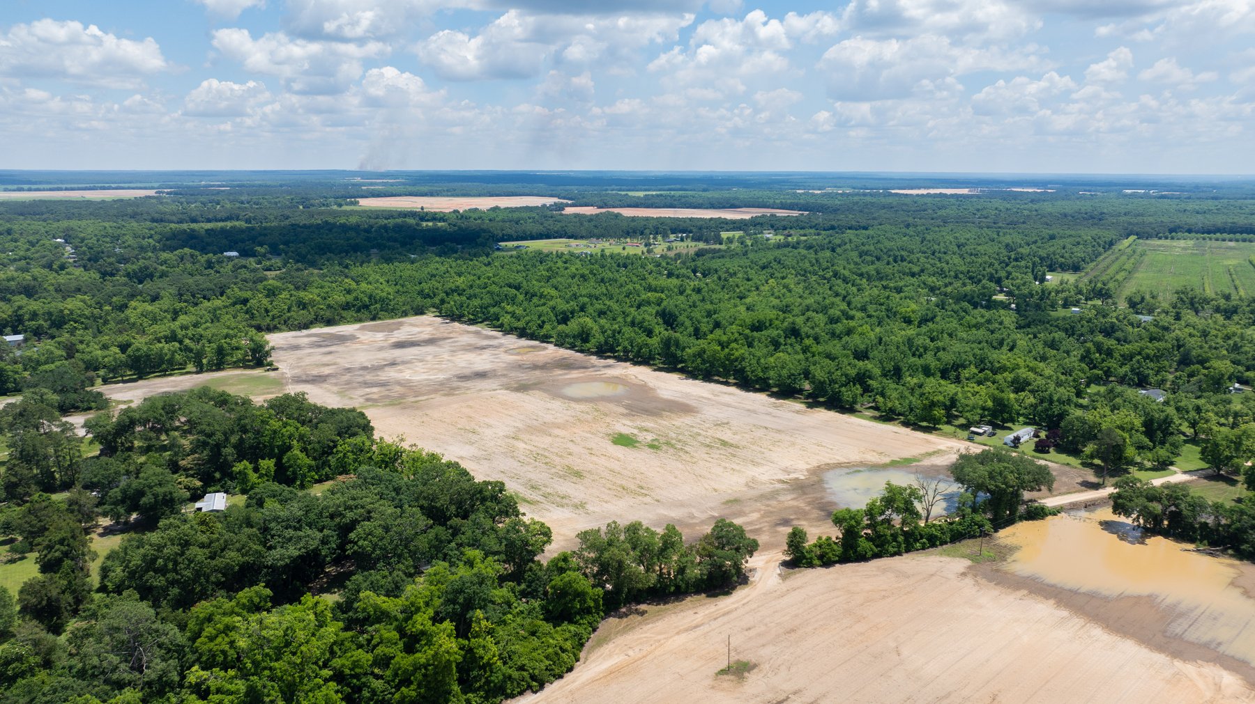 Image for 80.78+/- Acres - Turn-Key Pecan Operation w/ Row Crop Farmland