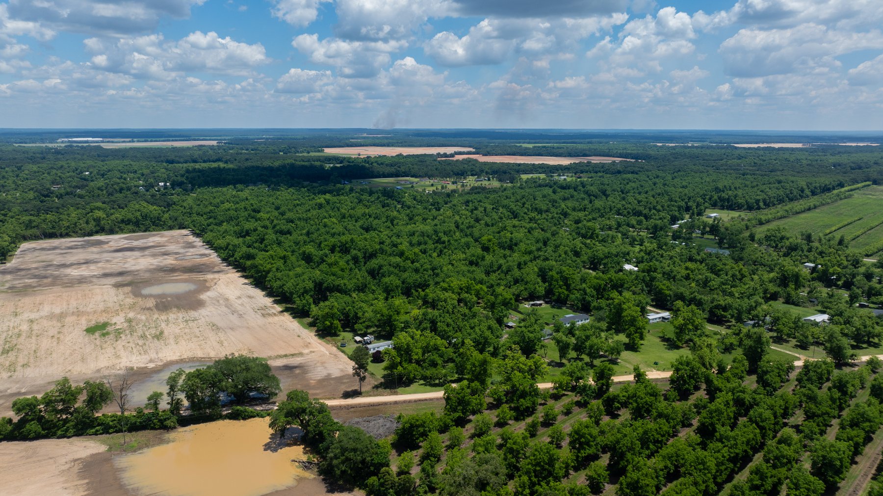 Image for 80.78+/- Acres - Turn-Key Pecan Operation w/ Row Crop Farmland