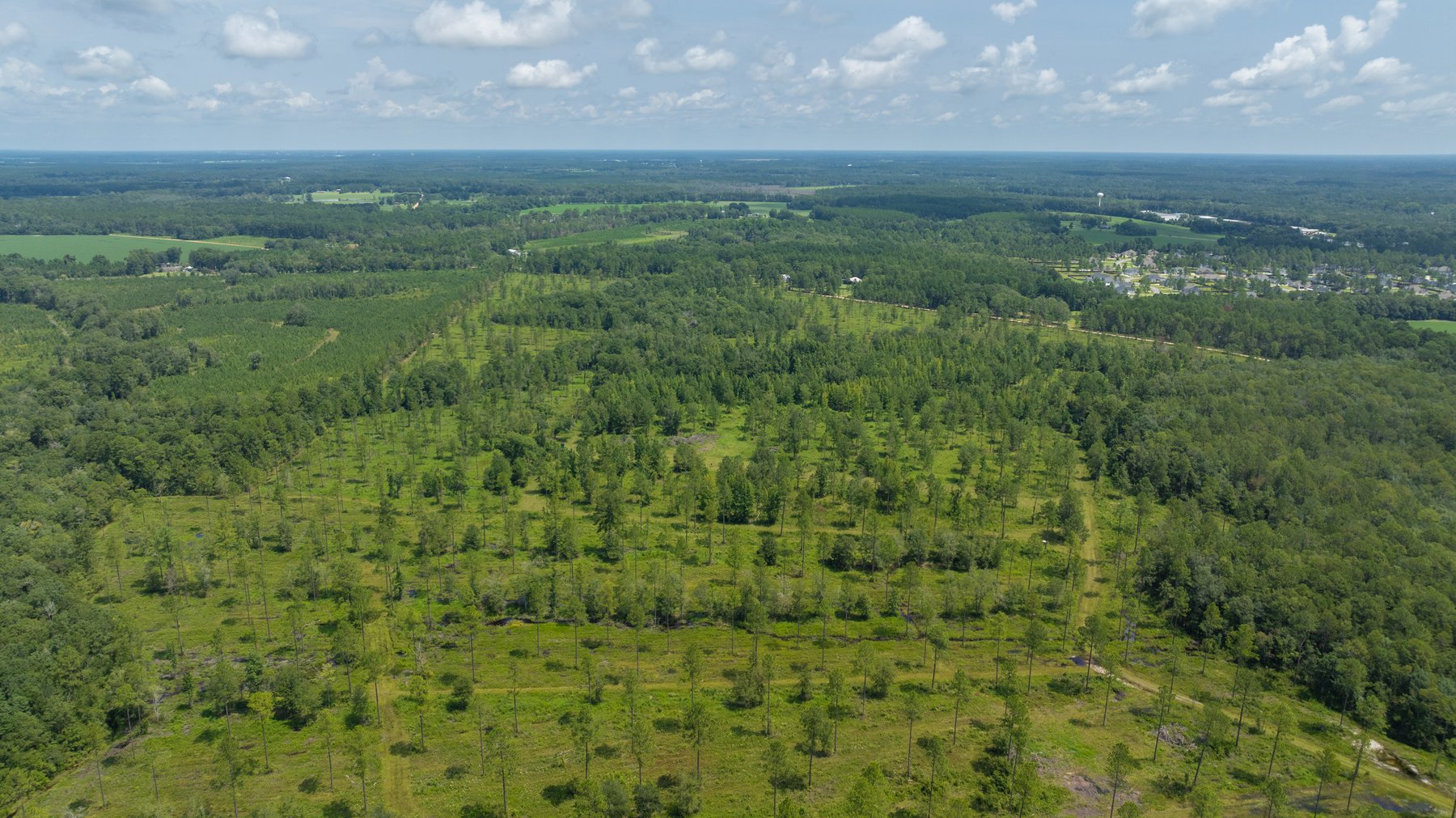 Image for 207+/- Acres in Lowndes County - Tremendous Development Potential