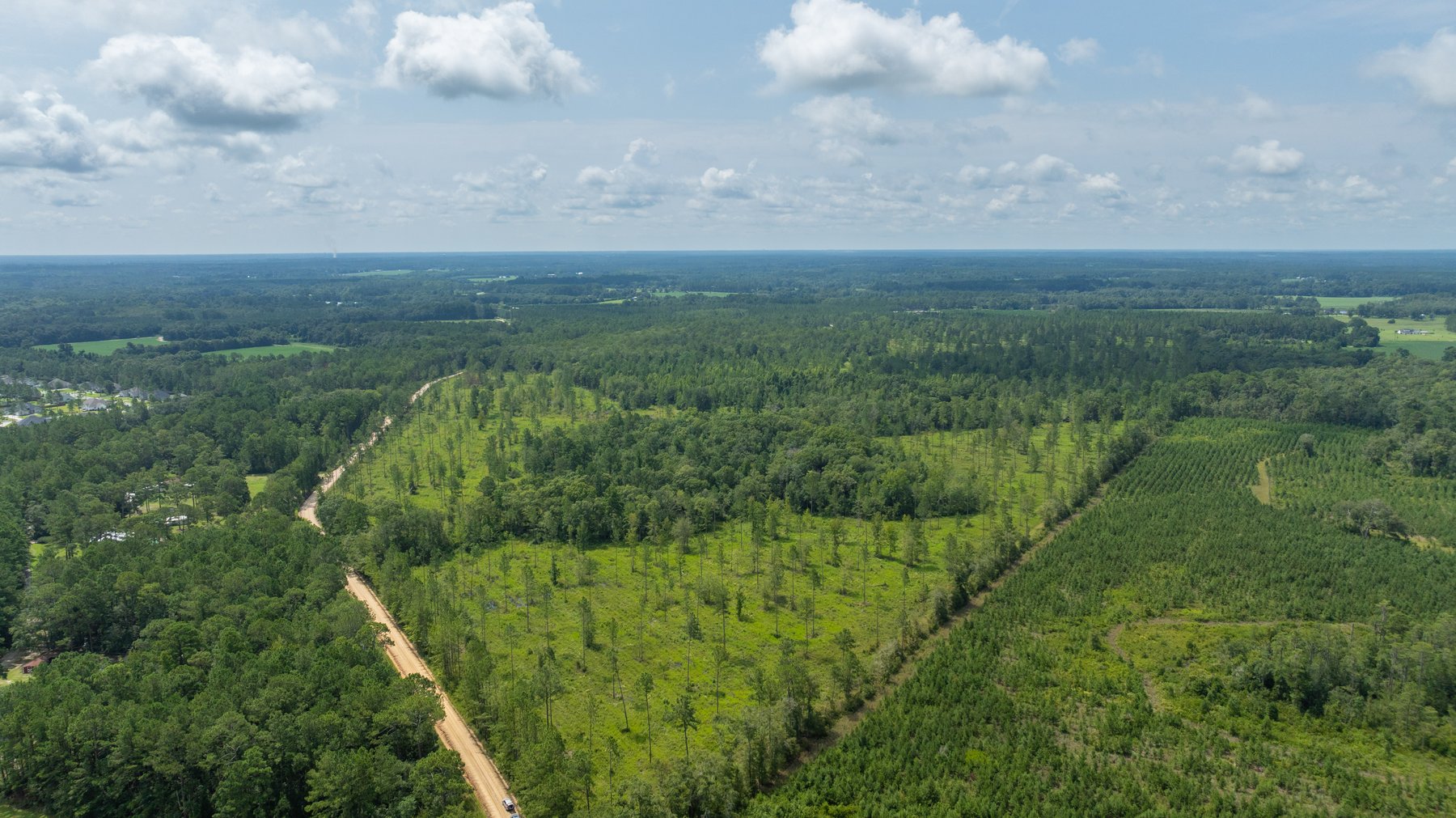 Image for 207+/- Acres in Lowndes County - Tremendous Development Potential