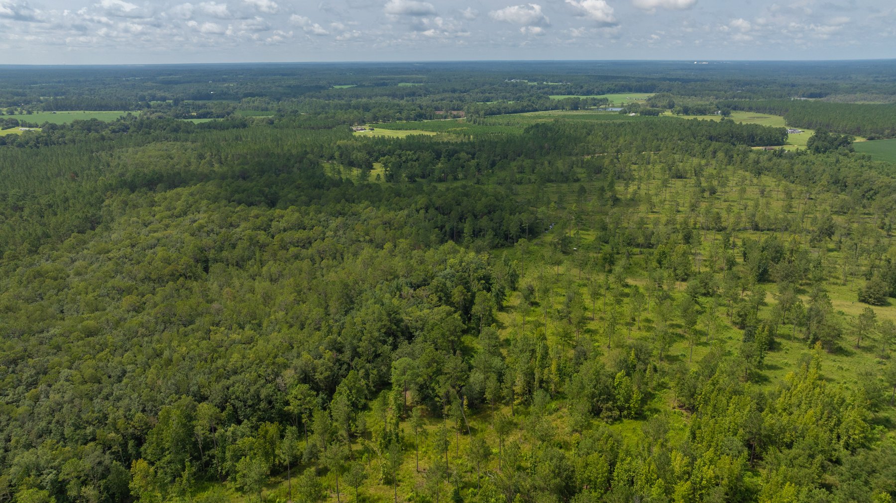 Image for 207+/- Acres in Lowndes County - Tremendous Development Potential