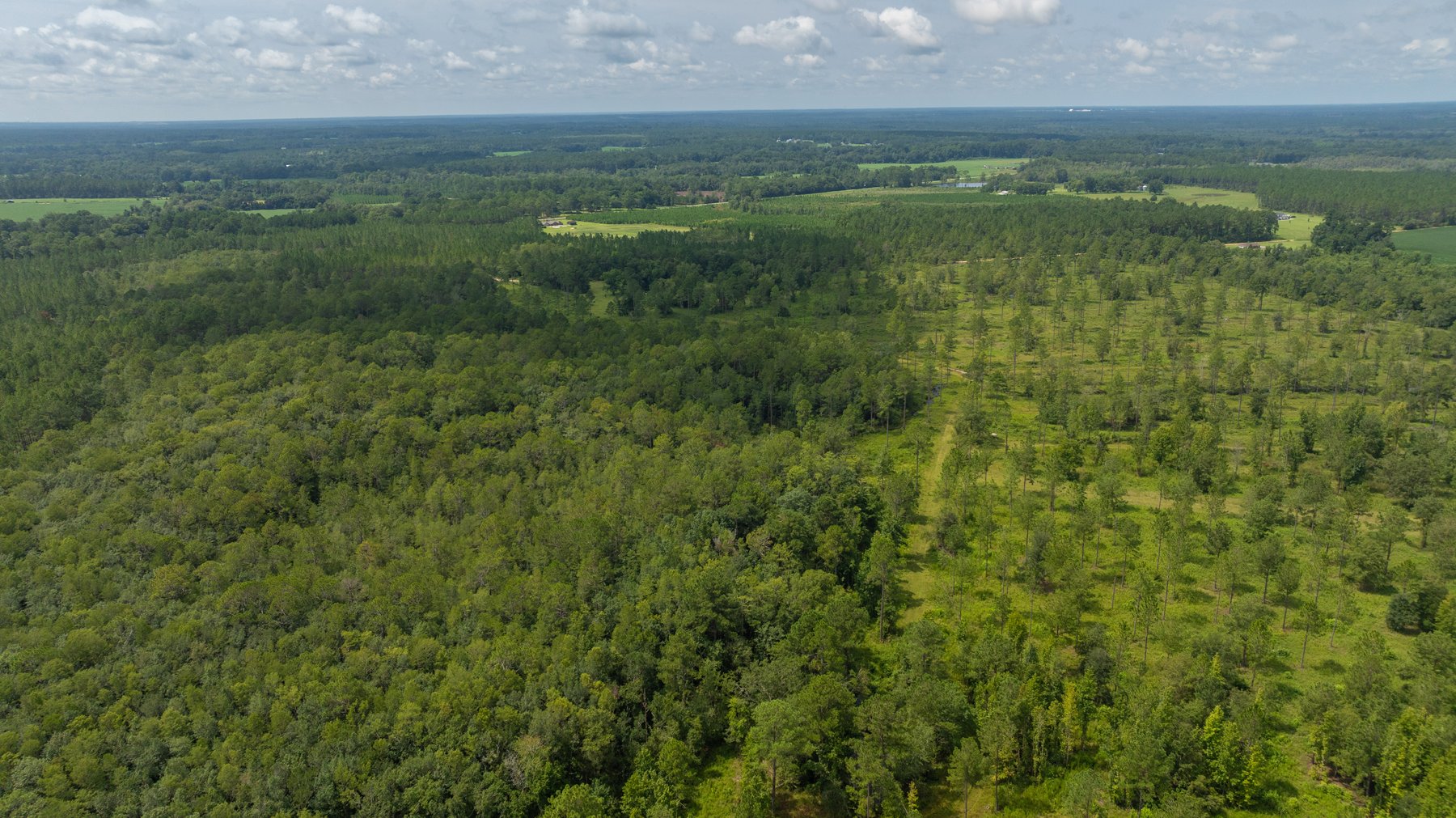 Image for 207+/- Acres in Lowndes County - Tremendous Development Potential