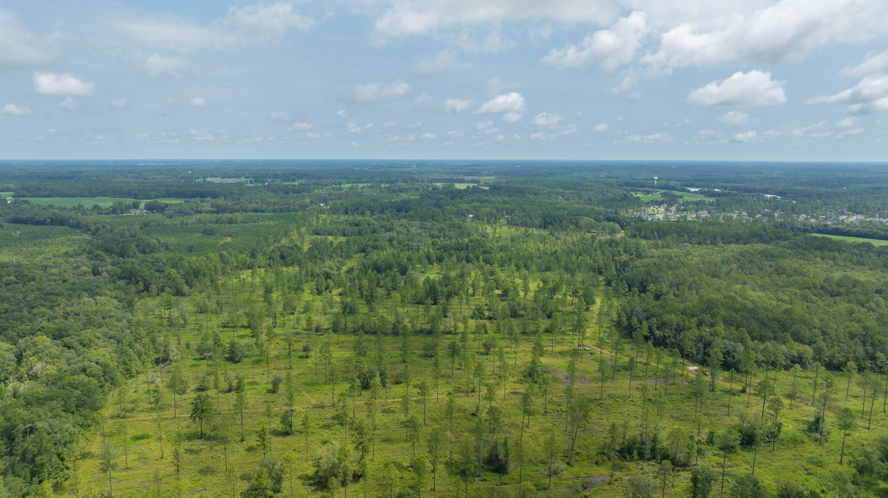 Image for 207+/- Acres in Lowndes County - Tremendous Development Potential