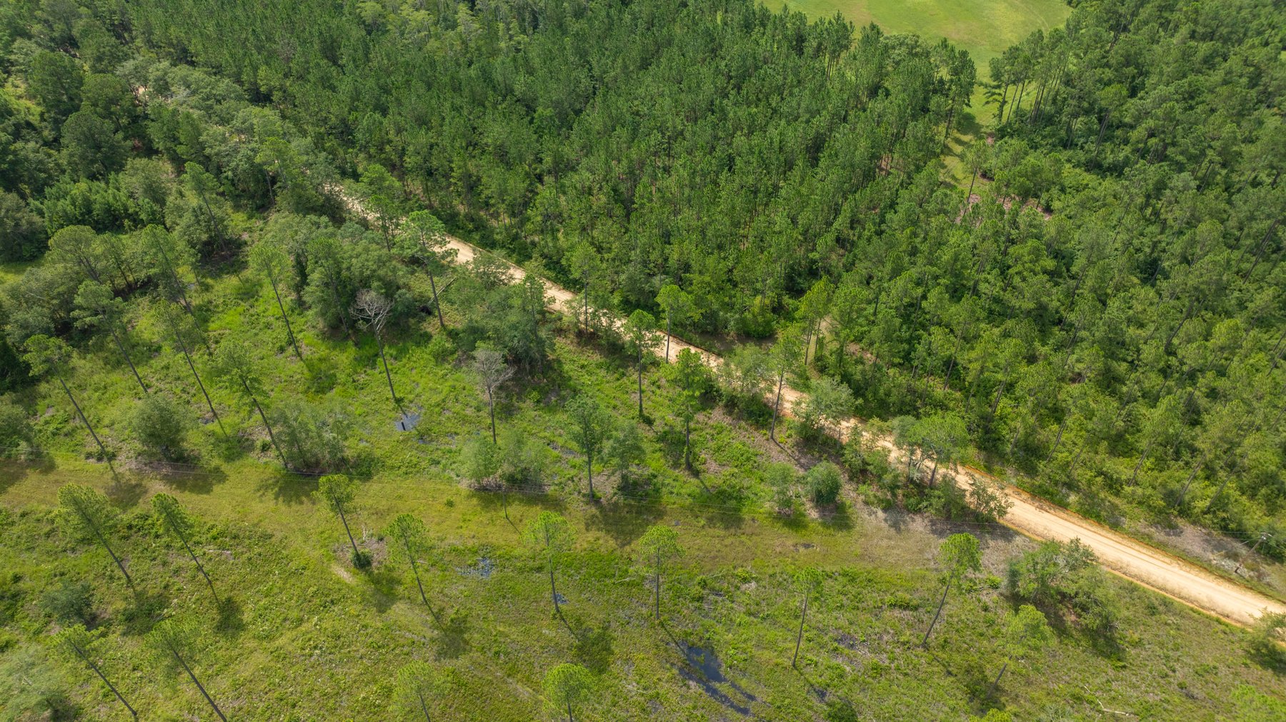 Image for 207+/- Acres in Lowndes County - Tremendous Development Potential