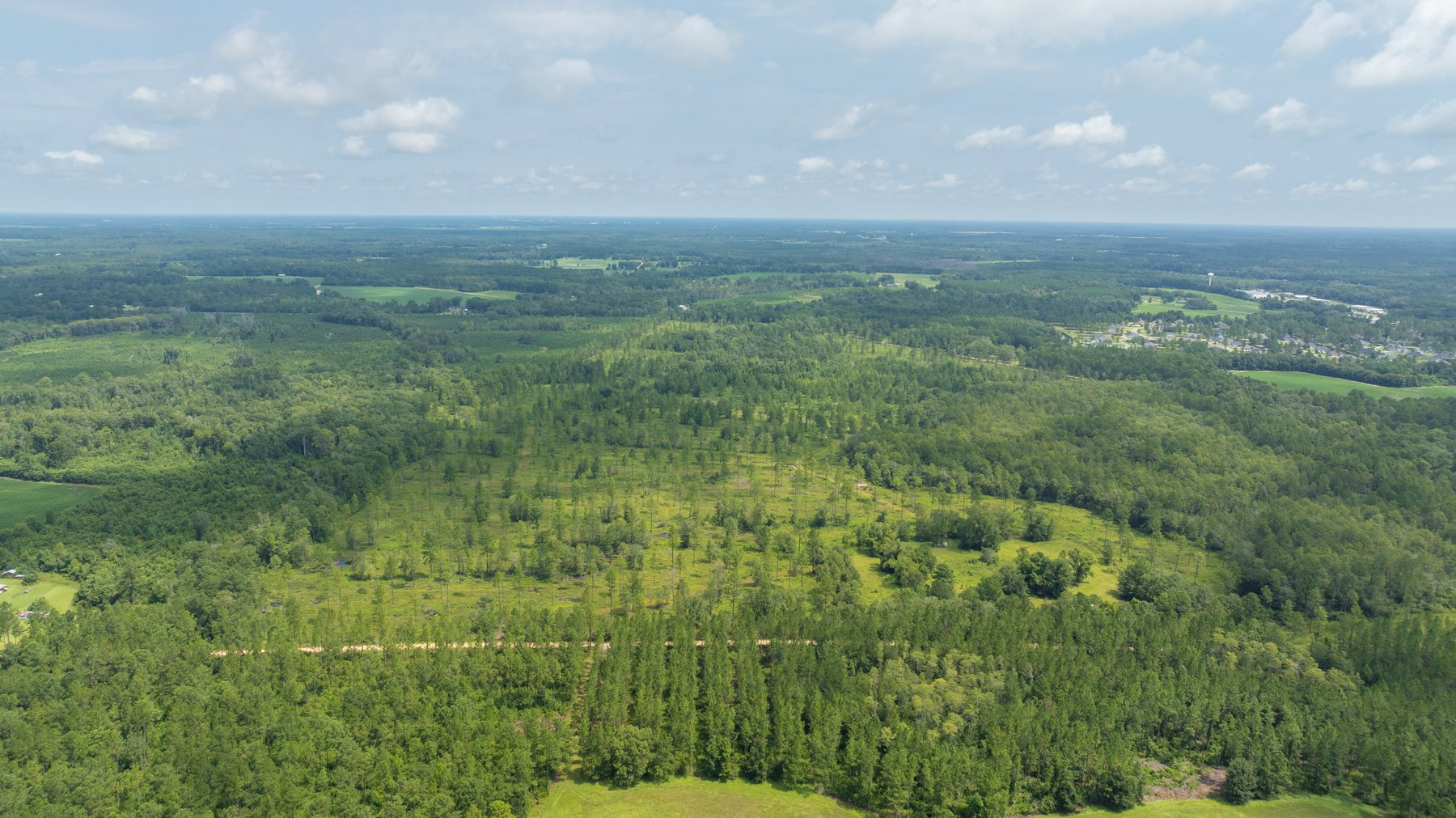 Image for 207+/- Acres in Lowndes County - Tremendous Development Potential