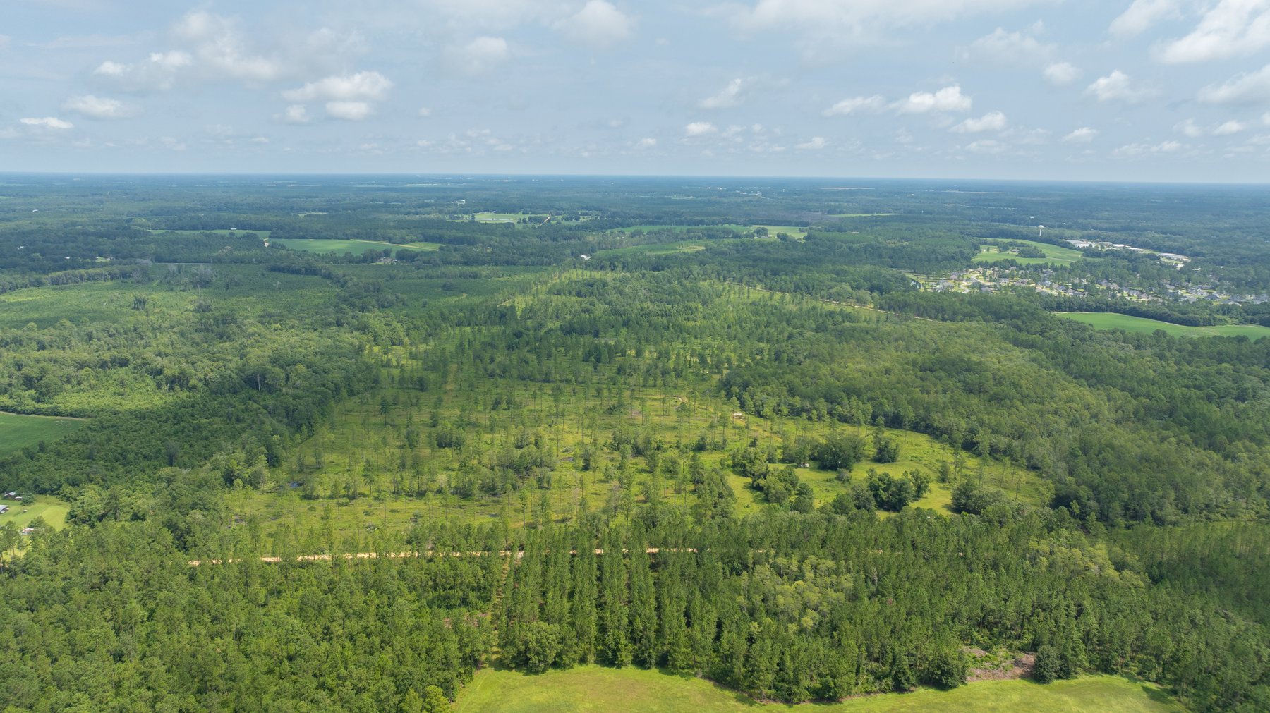 Image for 207+/- Acres in Lowndes County - Tremendous Development Potential